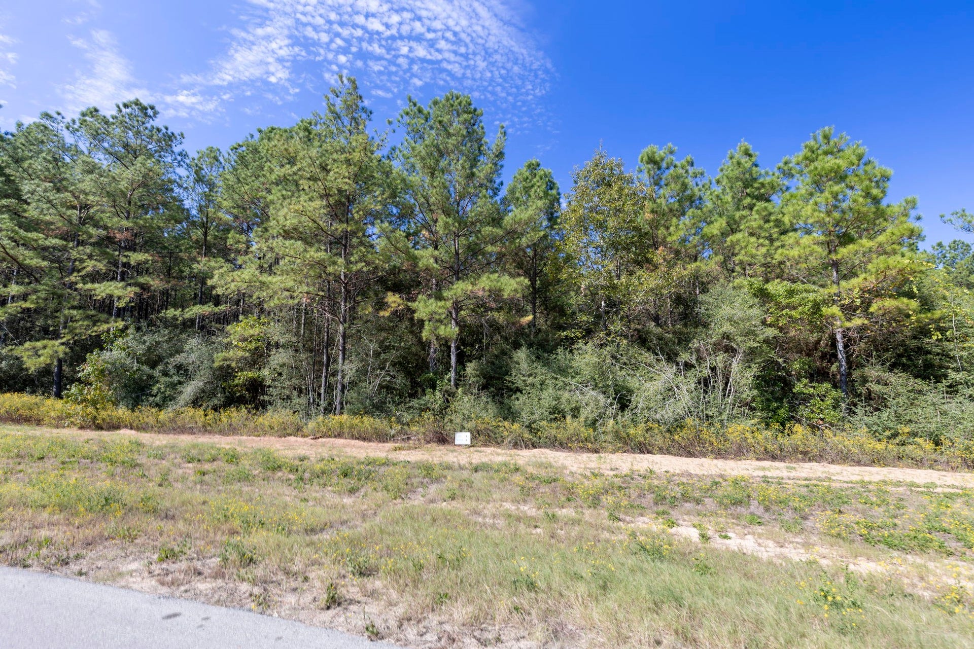 16002 Forest Mill Road, Willis, TX 77378 16002 Forest Mill Road, Willis, TX 77378