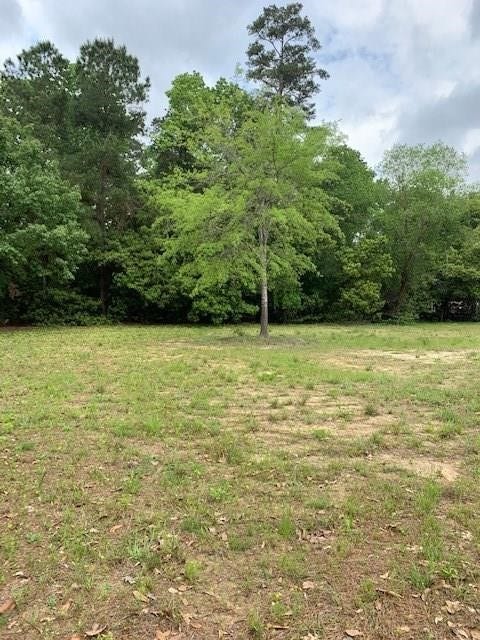 Property photo for 1203 Ashford Way, Houston, TX