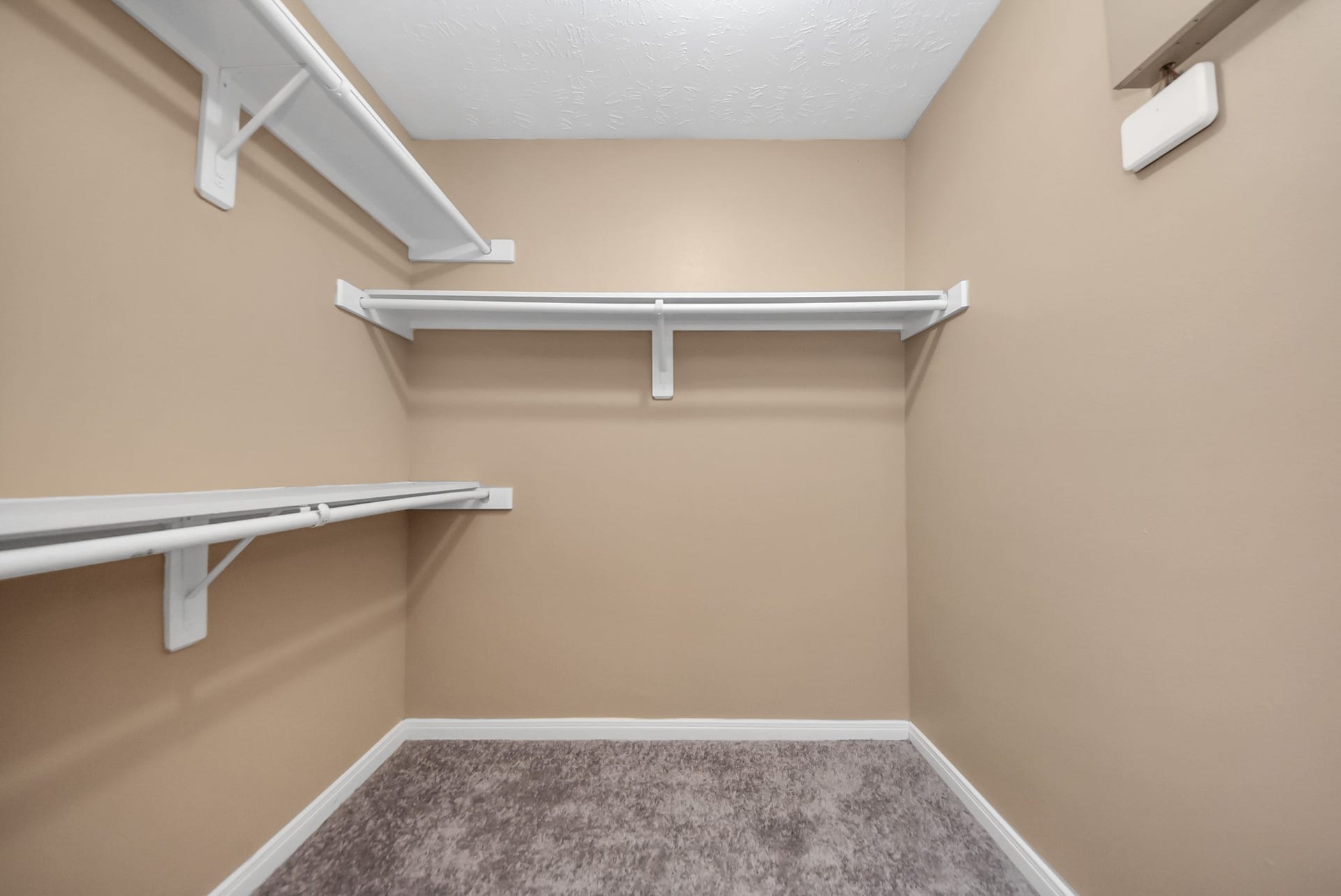 3006 Palace Oaks Drive, Houston, TX 77082 The primary bedroom also features a second, spacious walk-in closet.