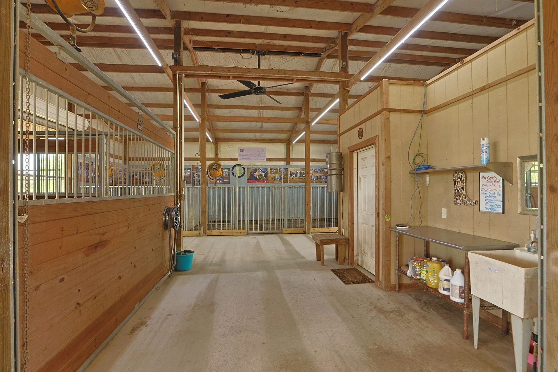 Spacious and well-lit barn interior features sturdy wooden stalls, a ceiling fan for ventilation, and a convenient wash area with ample storage.