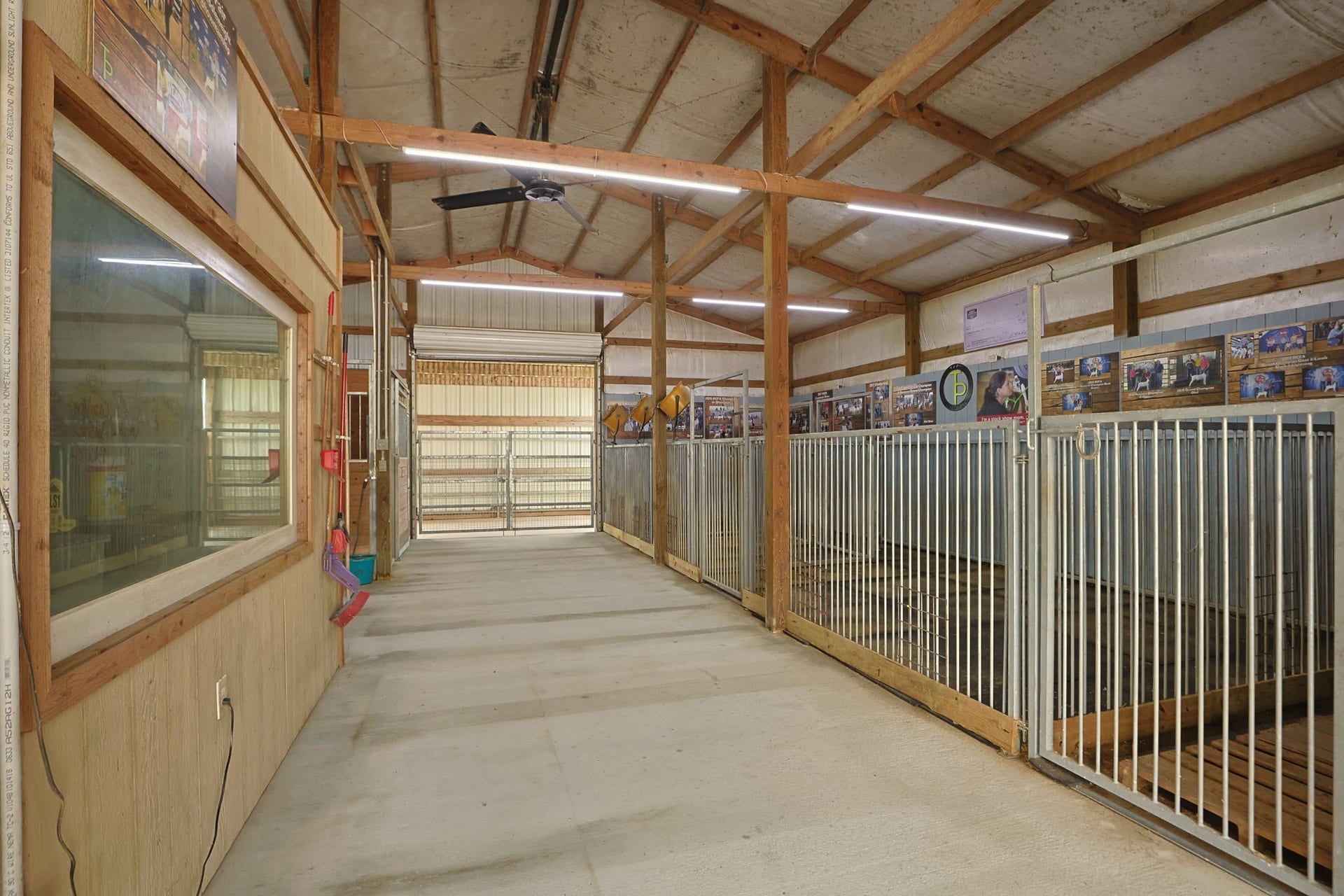 Spacious, well-lit equestrian barn featuring sturdy metal stalls and a high ceiling, ideal for horse enthusiasts.