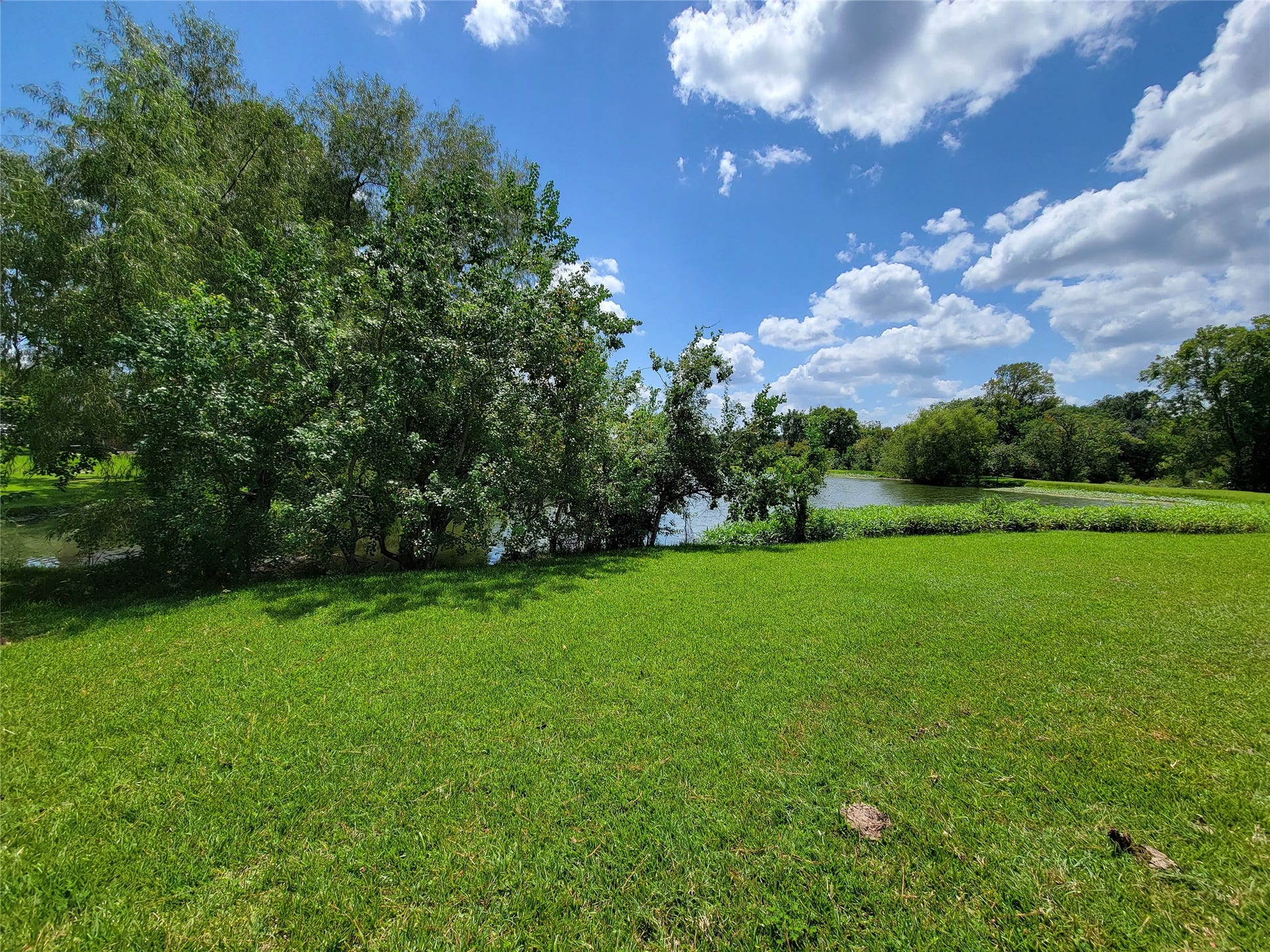 0 Tri Lakes Rd, Montgomery, TX 77316 0 Tri Lakes Rd, Montgomery, TX 77316