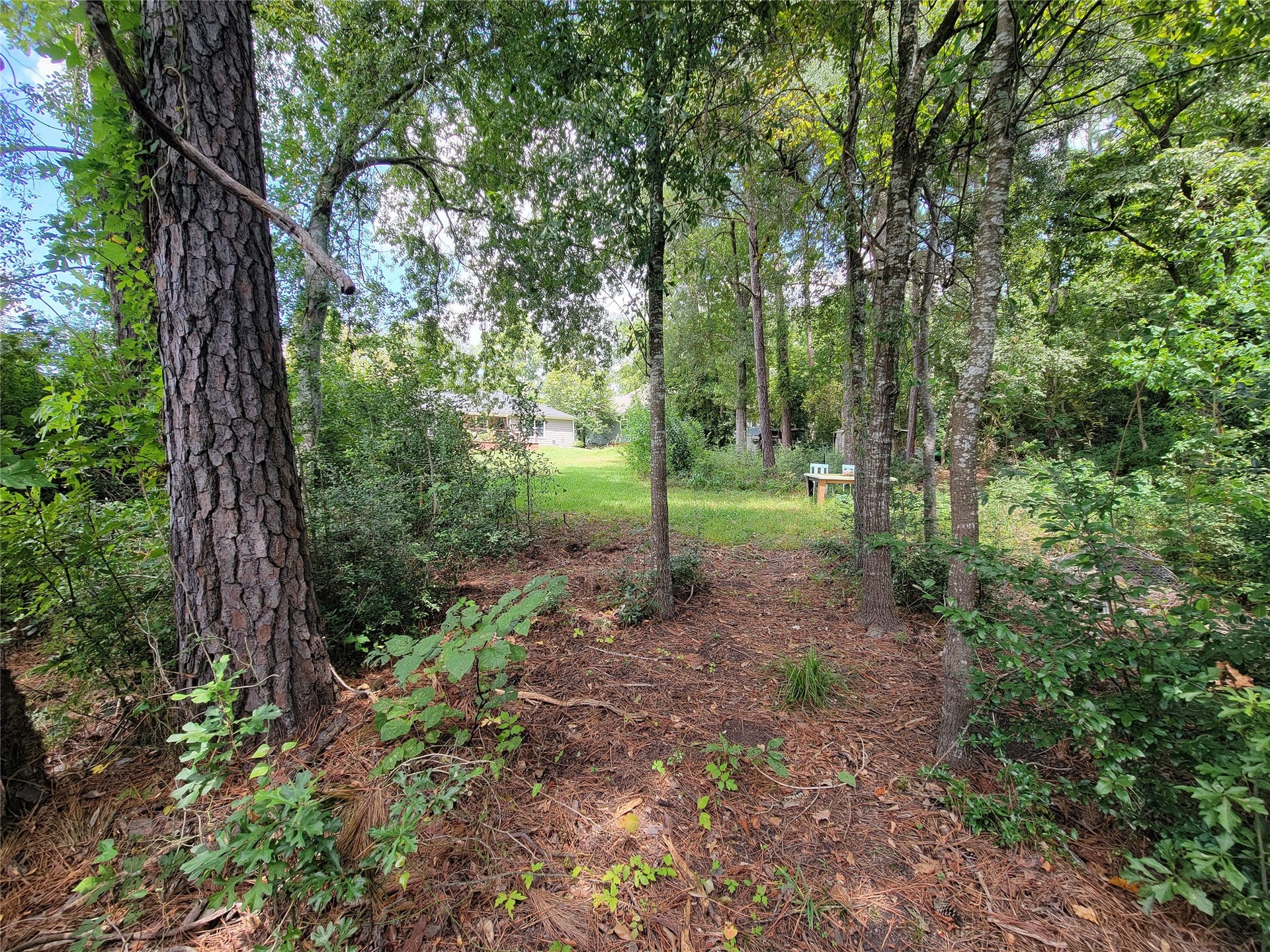 0 Tri Lakes Rd, Montgomery, TX 77316 0 Tri Lakes Rd, Montgomery, TX 77316