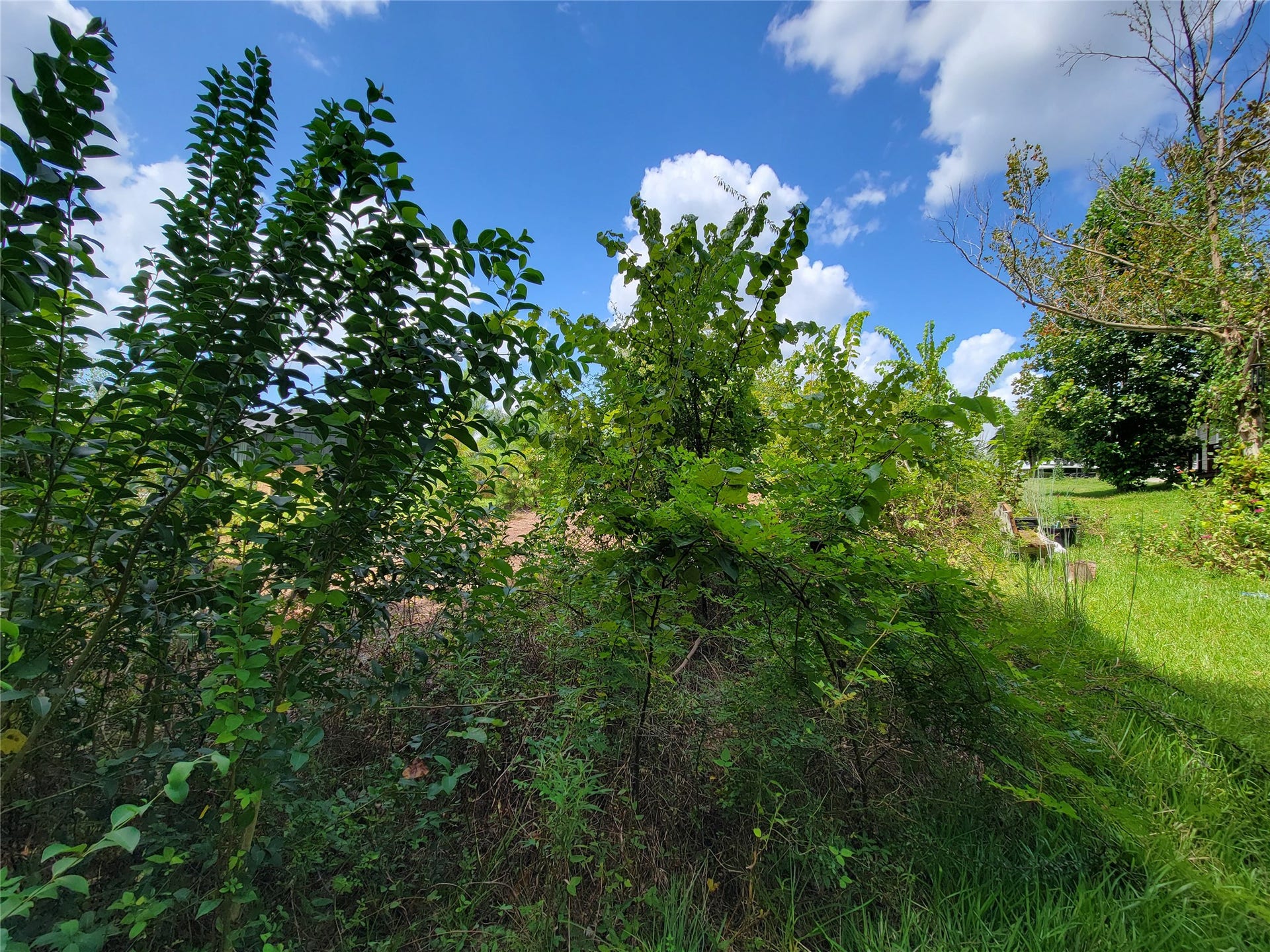 0 Tri Lakes Rd, Montgomery, TX 77316 0 Tri Lakes Rd, Montgomery, TX 77316