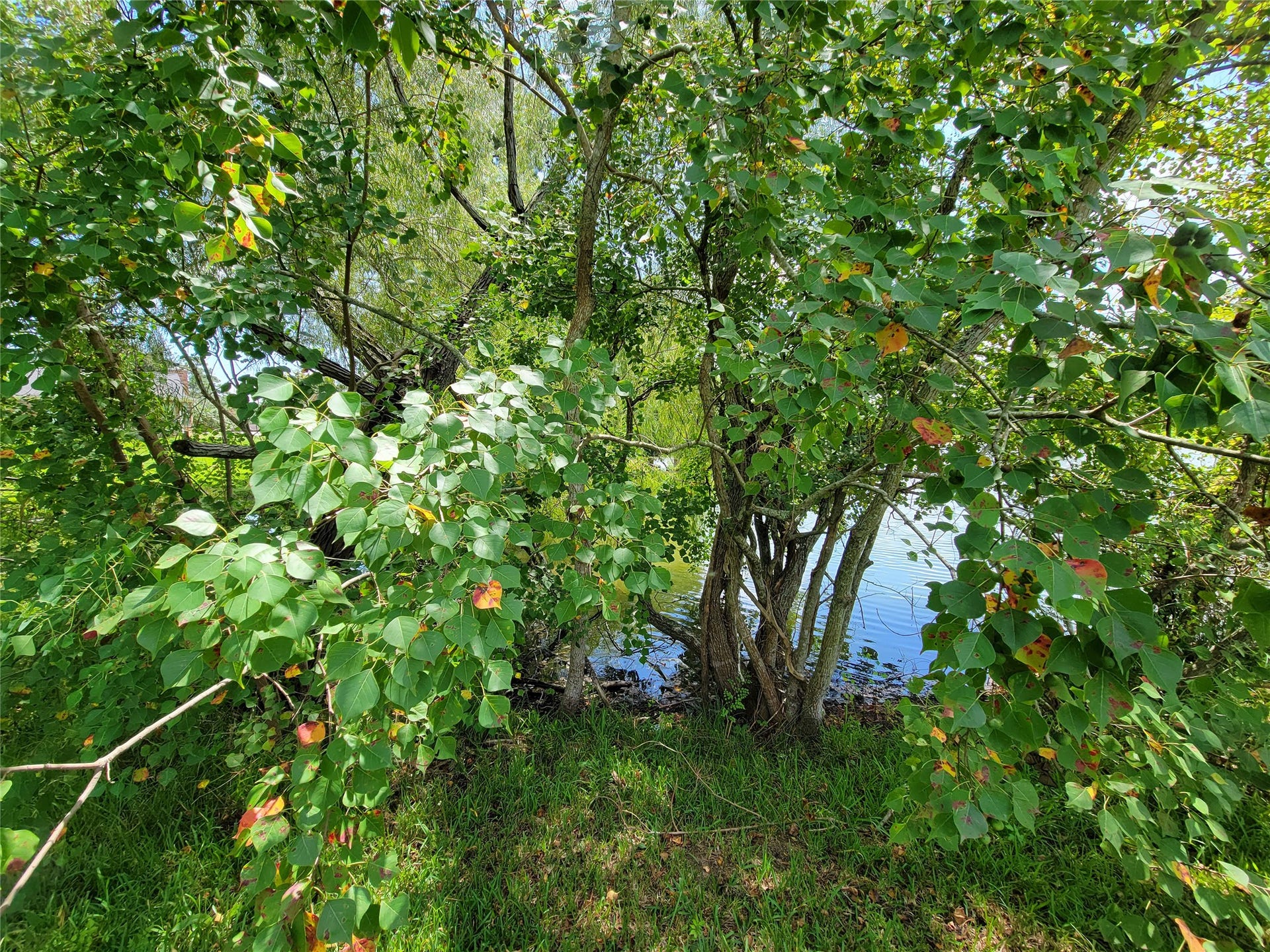 0 Tri Lakes Rd, Montgomery, TX 77316 0 Tri Lakes Rd, Montgomery, TX 77316