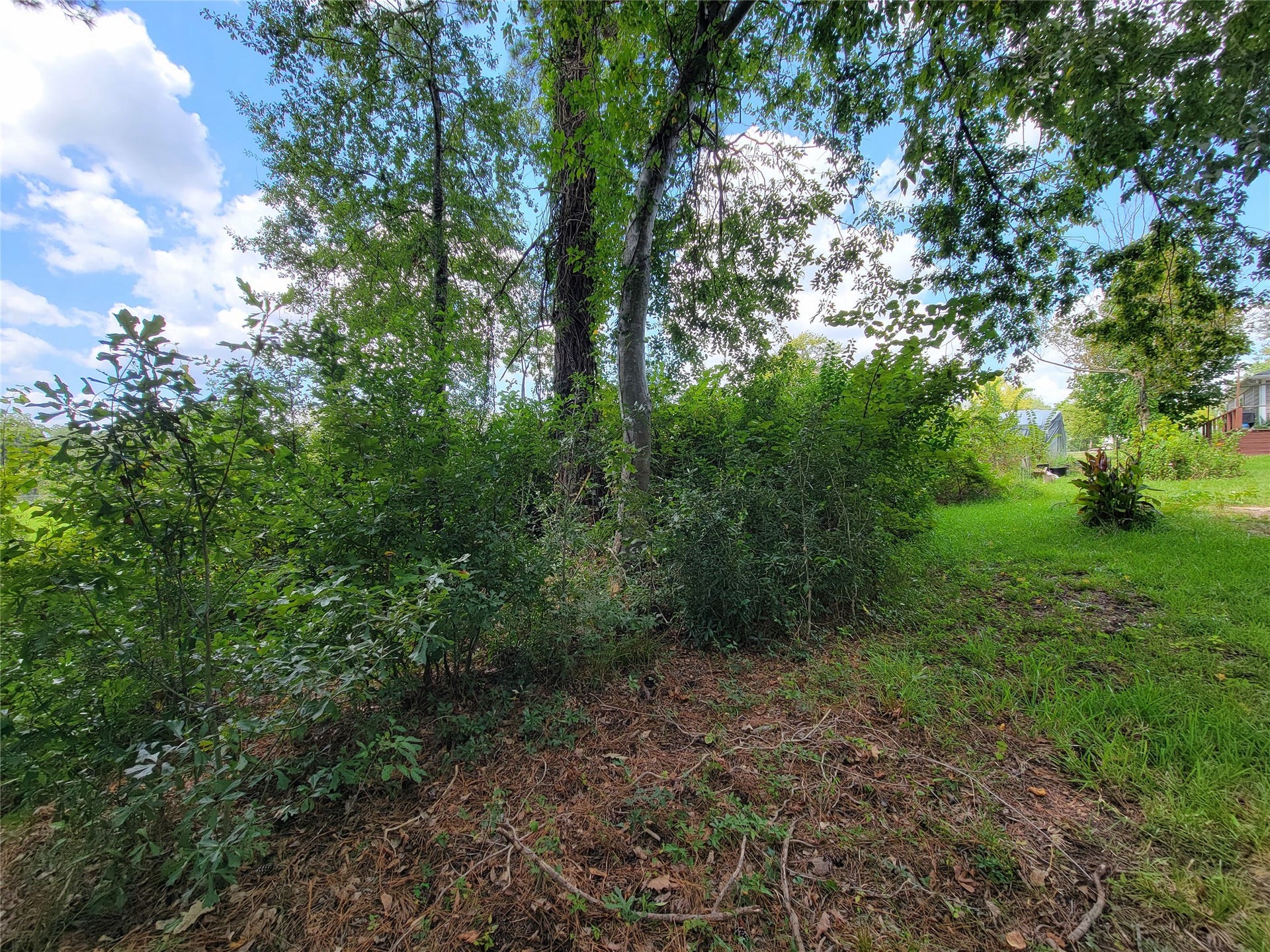 0 Tri Lakes Rd, Montgomery, TX 77316 0 Tri Lakes Rd, Montgomery, TX 77316