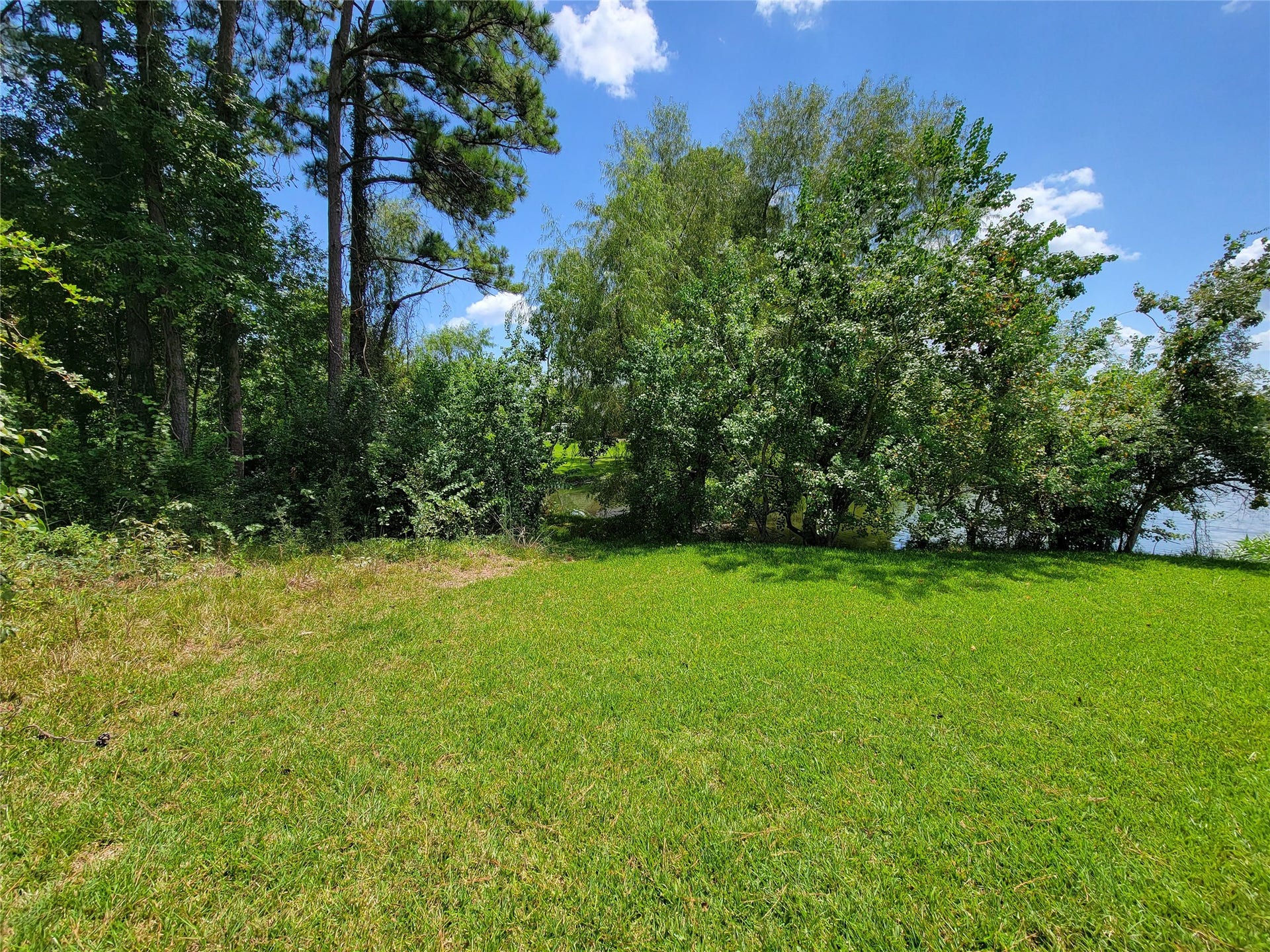 0 Tri Lakes Rd, Montgomery, TX 77316 0 Tri Lakes Rd, Montgomery, TX 77316