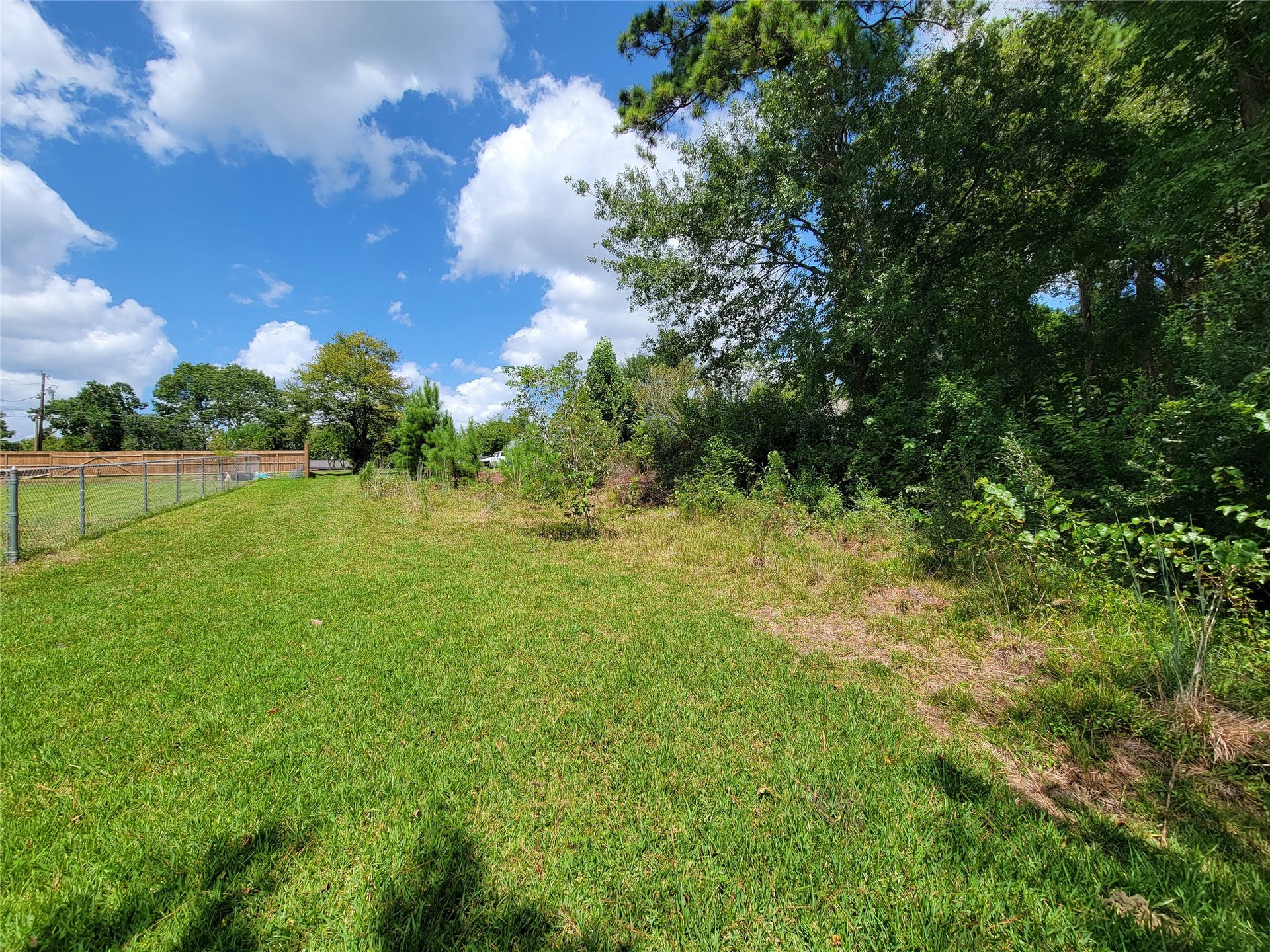 0 Tri Lakes Rd, Montgomery, TX 77316 View from Back of lot
