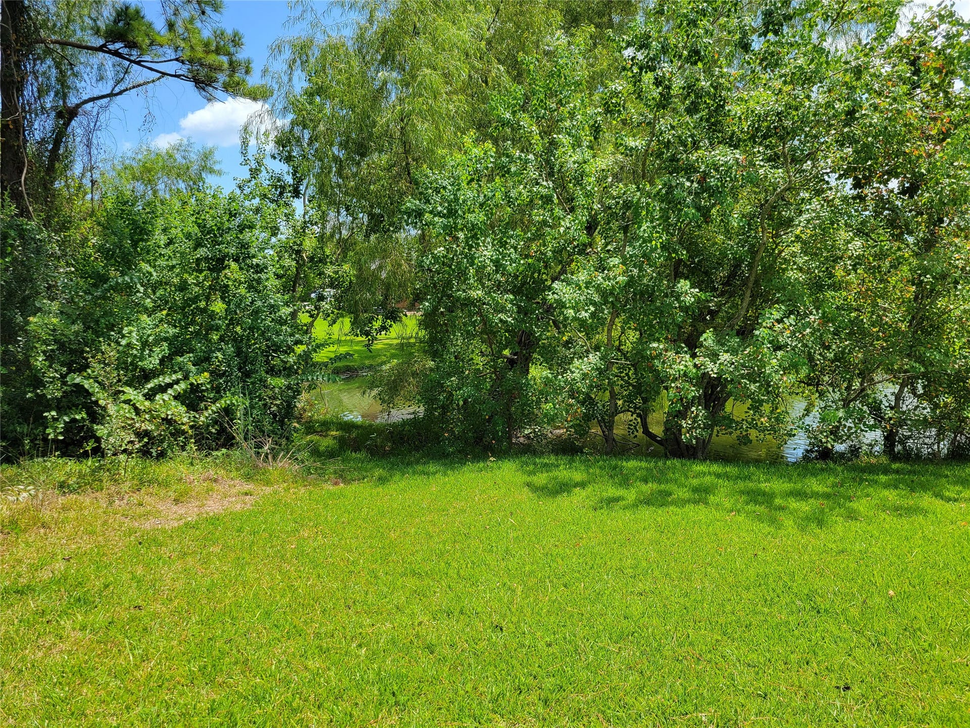0 Tri Lakes Rd, Montgomery, TX 77316 0 Tri Lakes Rd, Montgomery, TX 77316
