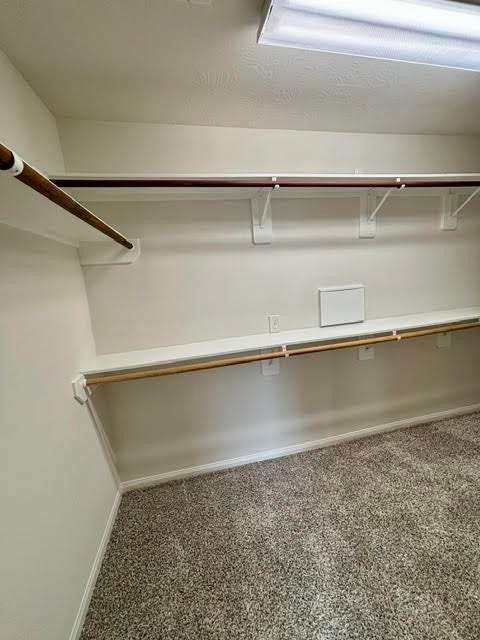 24127 Auburn Woods Court, Porter, TX 77365 24127 Auburn Woods Court, Porter, TX 77365