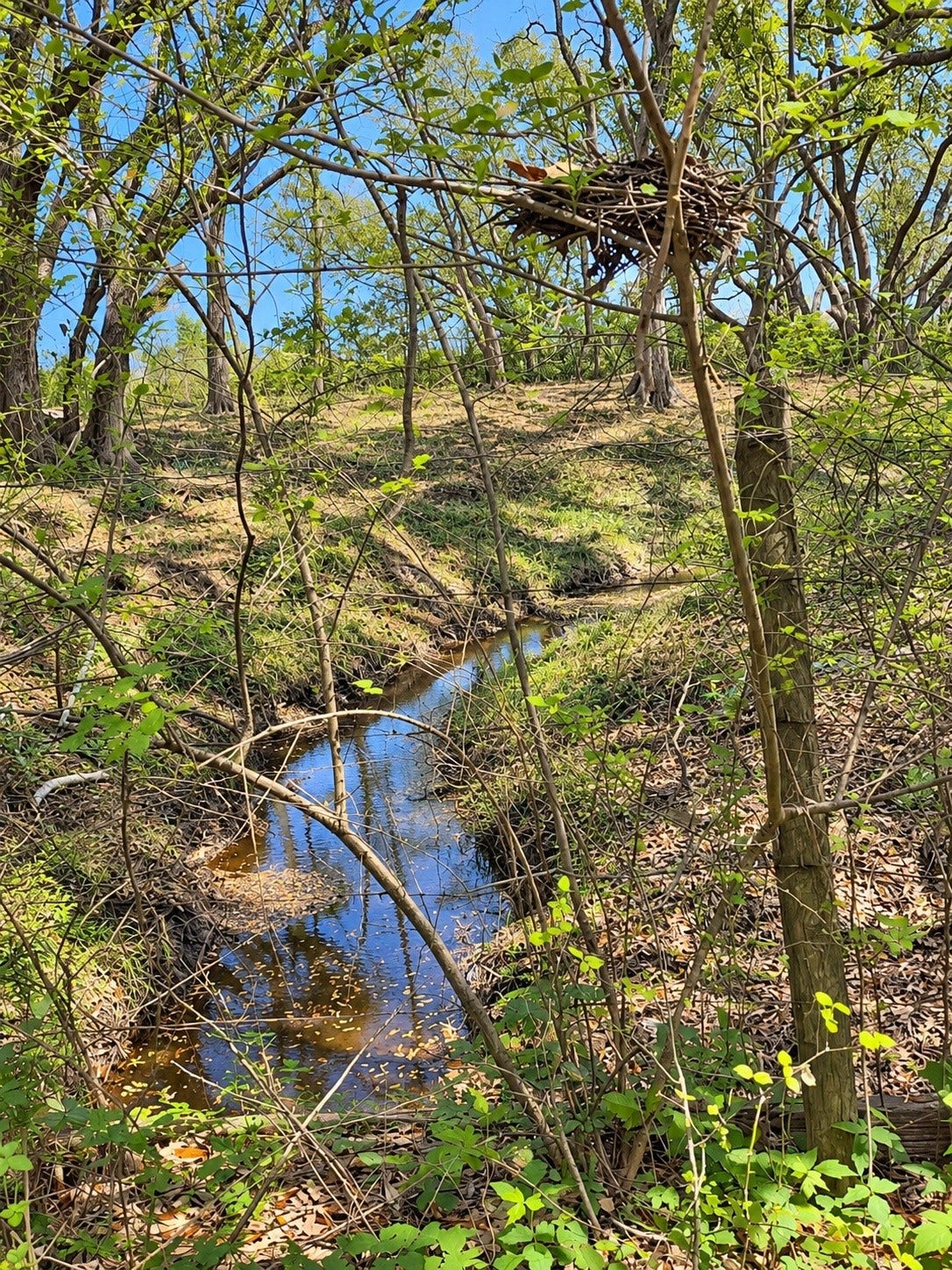 2224 County Road 660b, Danbury, TX 77534