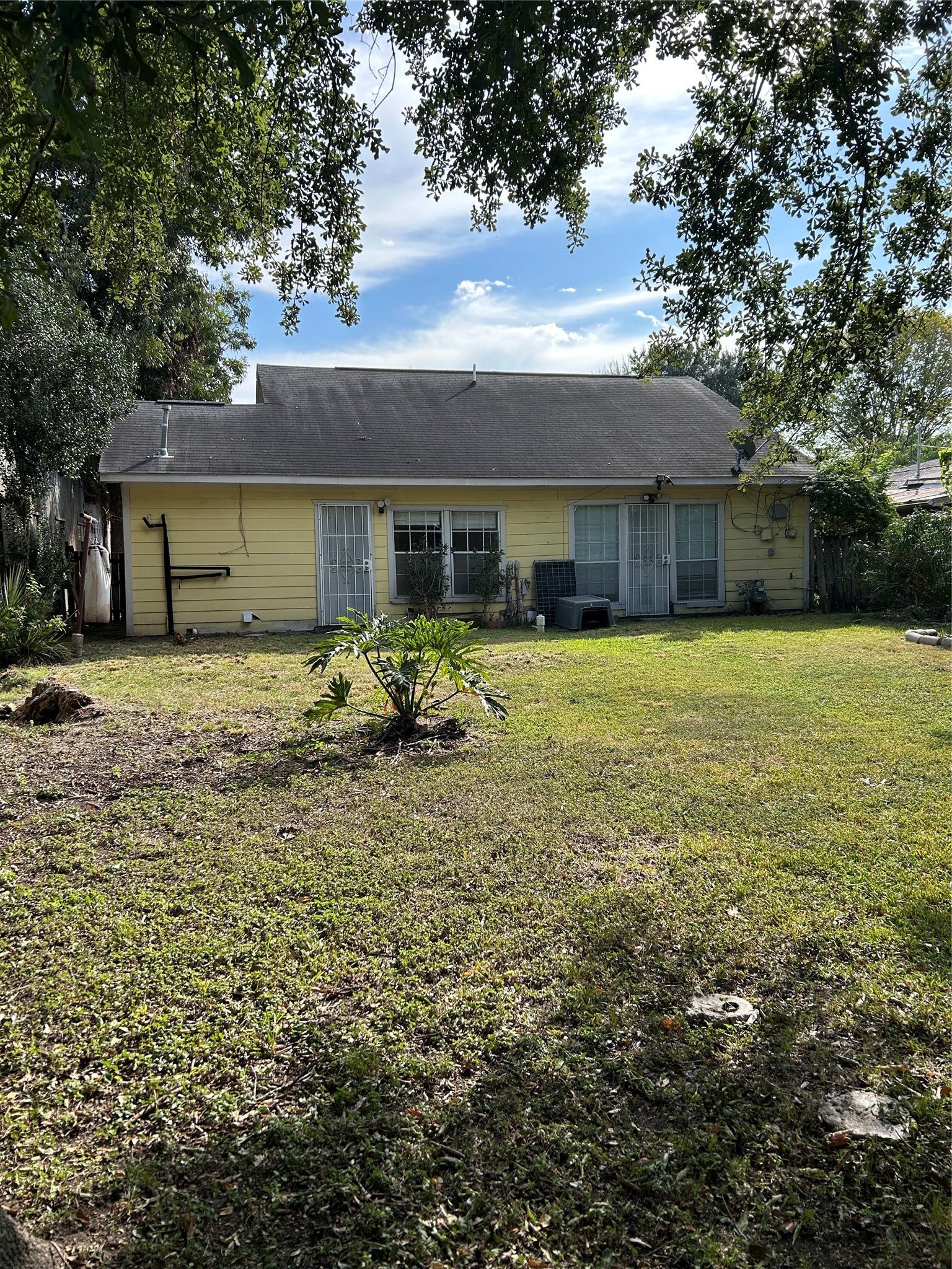 708 Zoe Street, Houston, TX 77020 Backyard