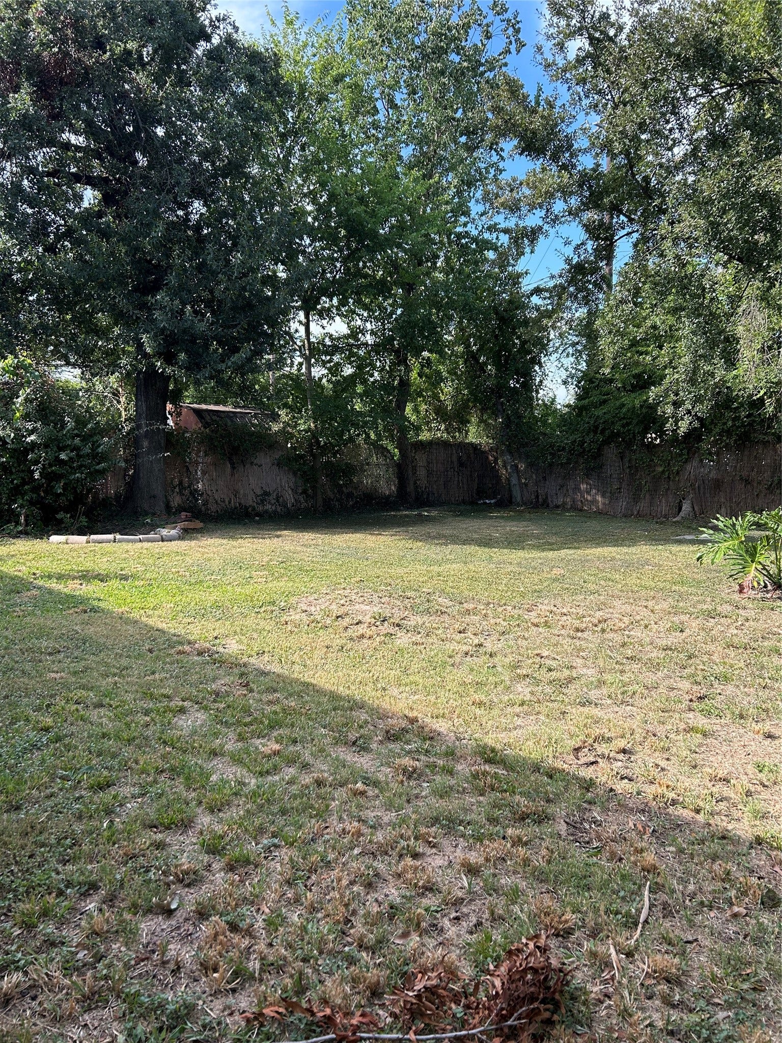 708 Zoe Street, Houston, TX 77020 Backyard