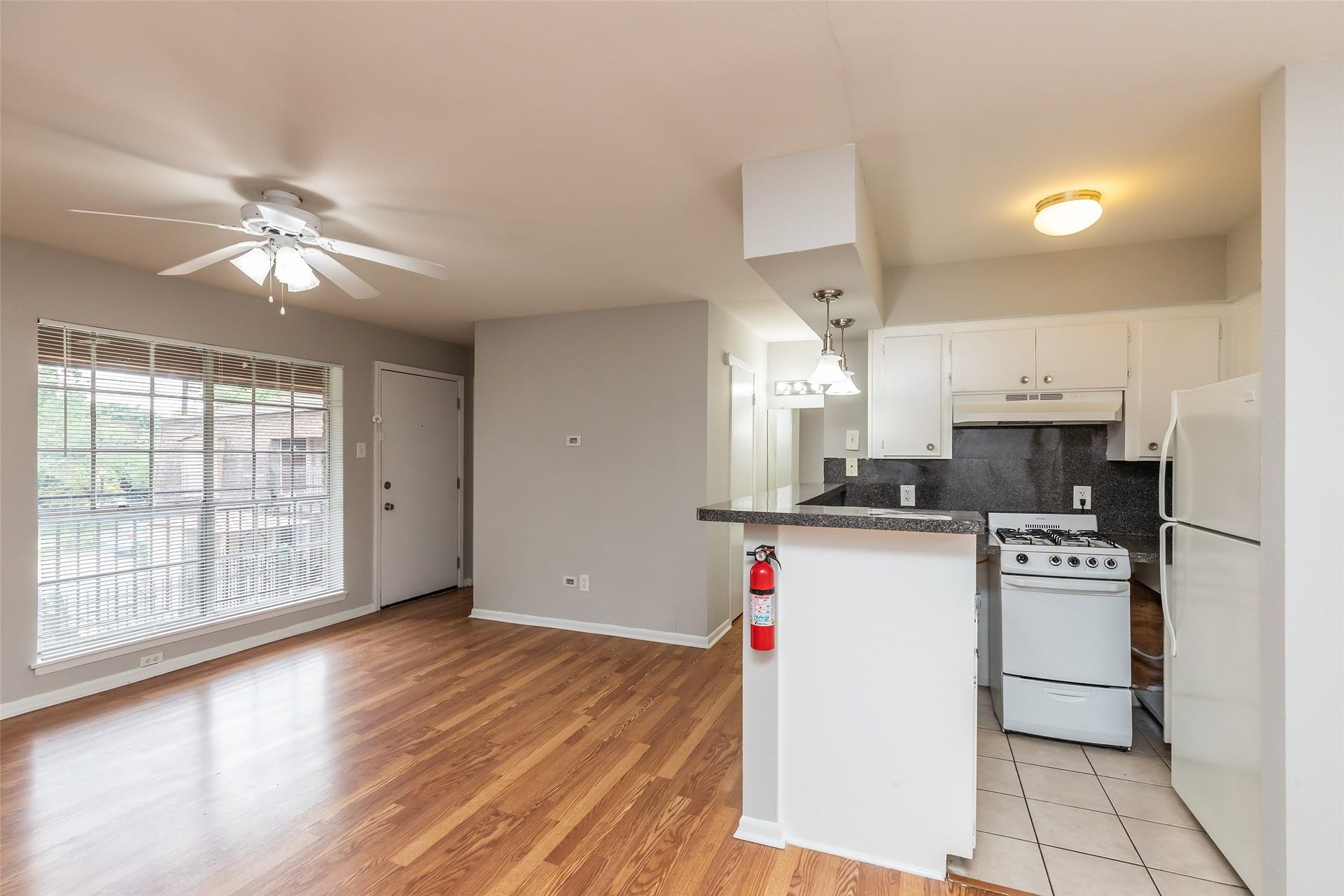 425 Emerson Street, #4, Houston, TX 77006