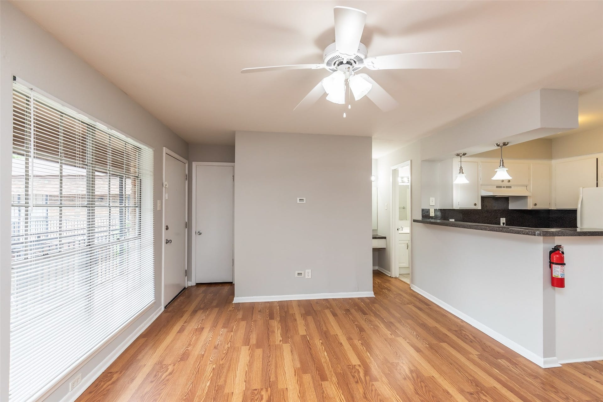 425 Emerson Street, #4, Houston, TX 77006