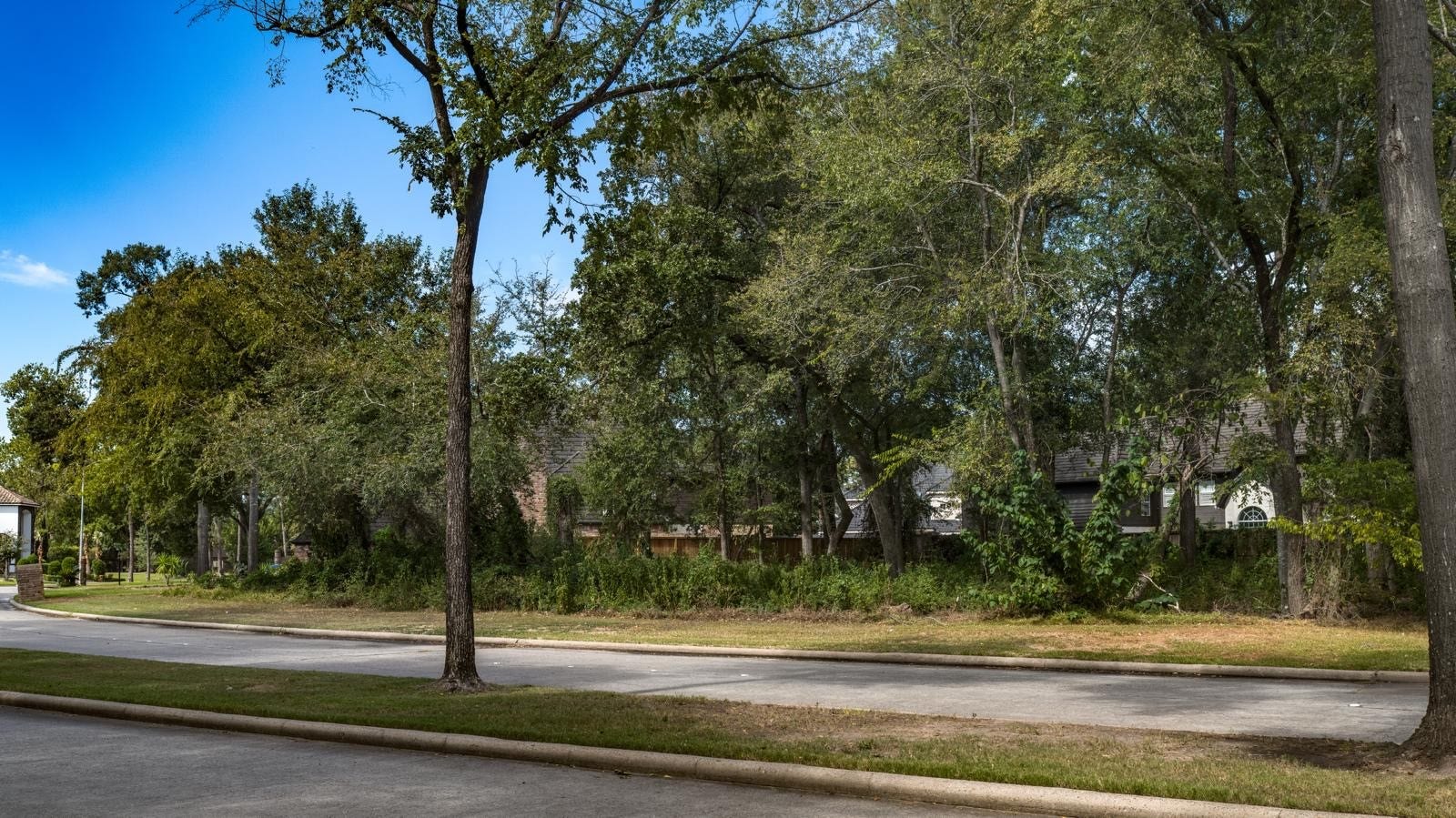 3006 Cedar Woods Place, Houston, TX 77068 Street view.