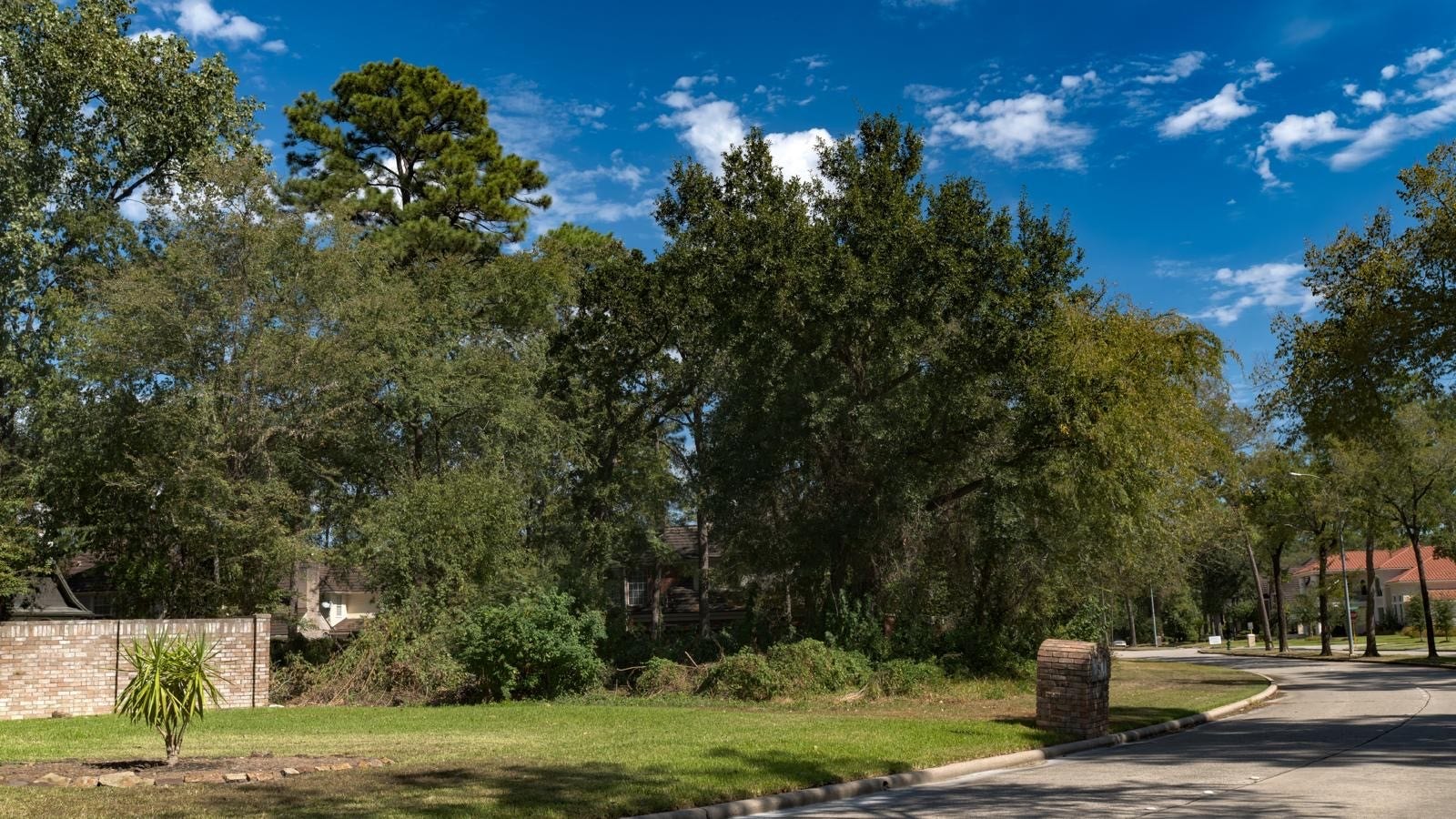 3006 Cedar Woods Place, Houston, TX 77068 Corner view of the lot.
