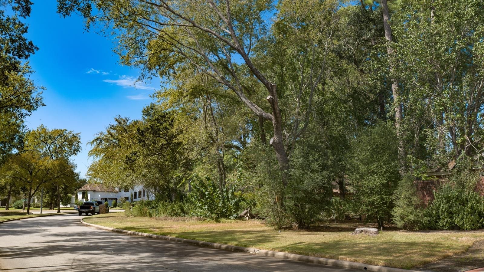 3006 Cedar Woods Place, Houston, TX 77068 View down the street.