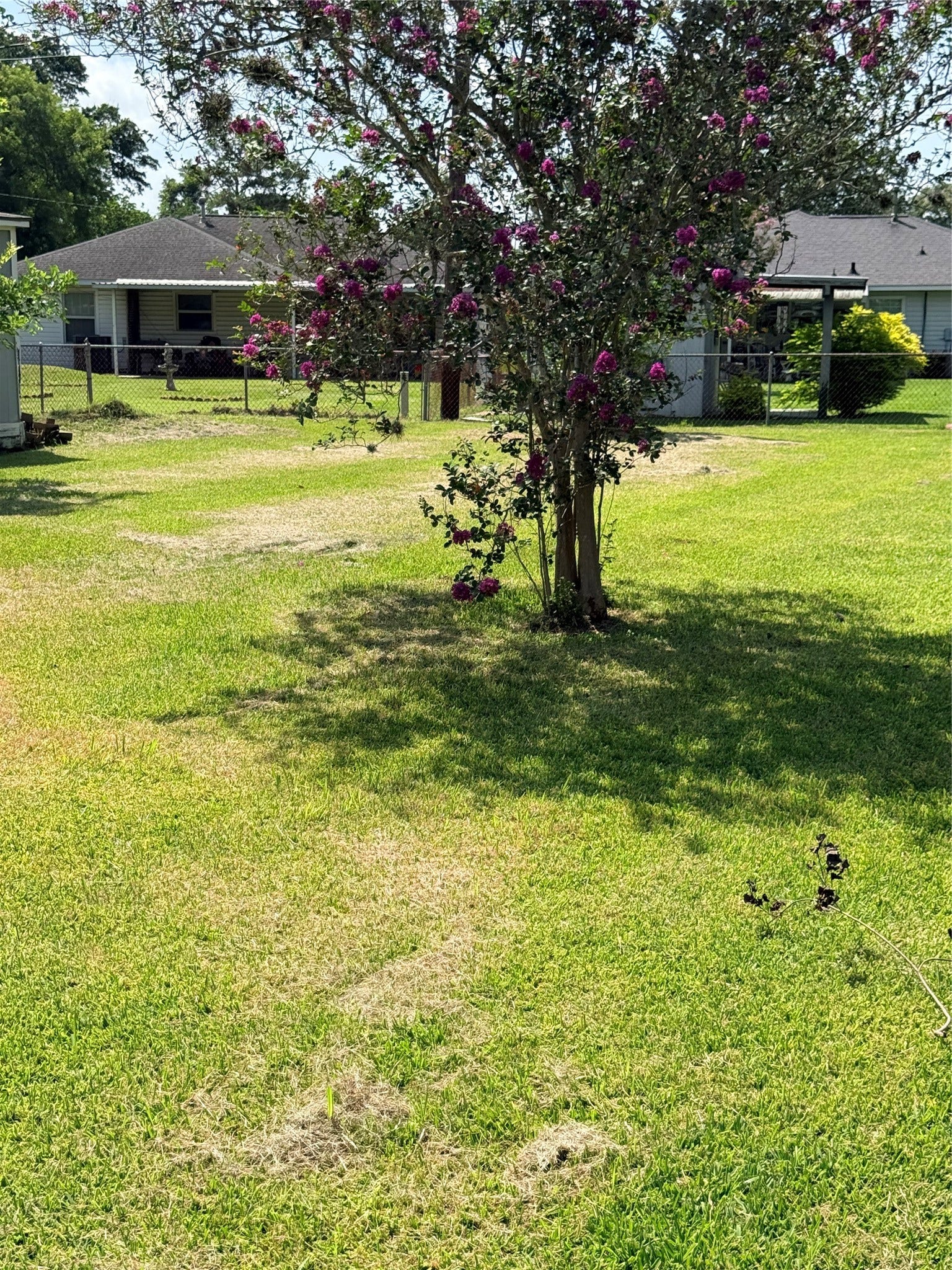 305 Wisteria Street, Lake Jackson, TX 77566 305 Wisteria Street, Lake Jackson, TX 77566