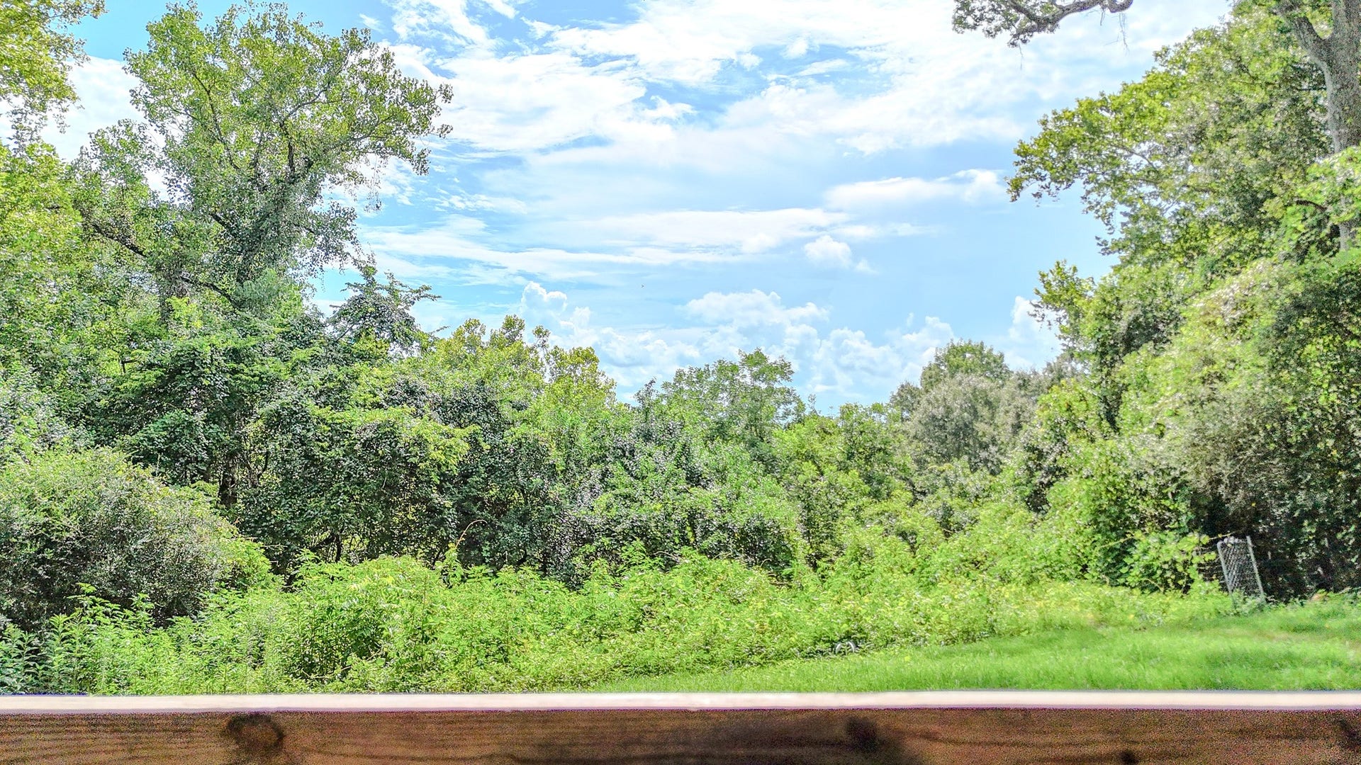 605 Clayton Street, Dayton, TX 77535 Backyard Patio View