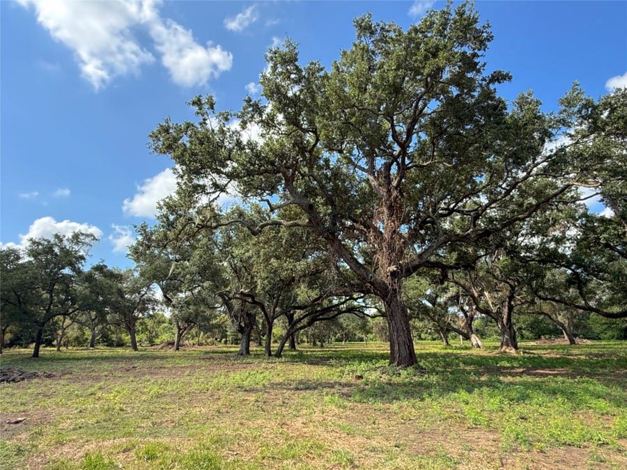 Property photo for Lot 2 S F Austin, Freeport, TX