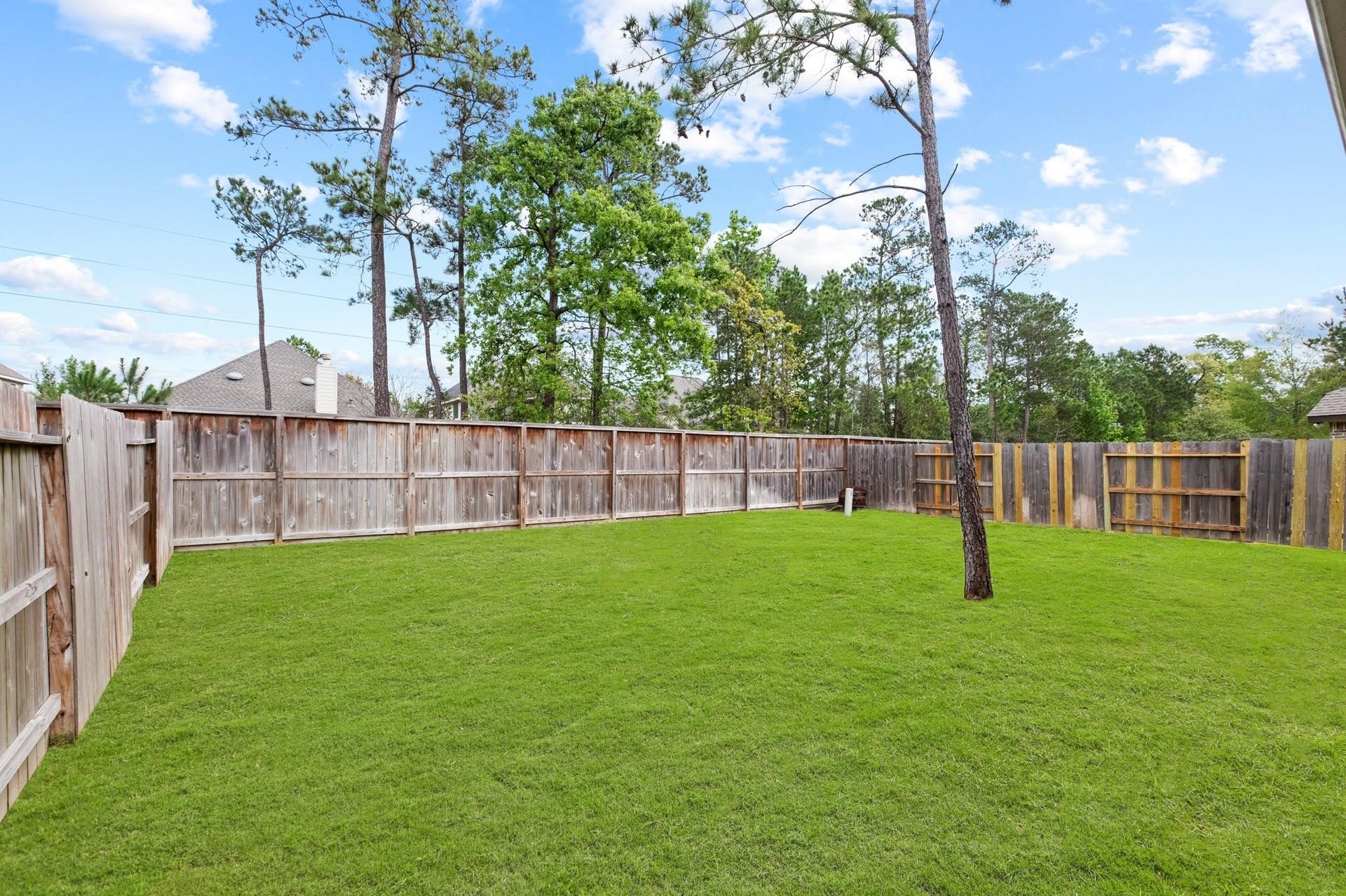 12431 Palo Acebo Lane, Humble, TX 77346 12431 Palo Acebo Lane, Humble, TX 77346