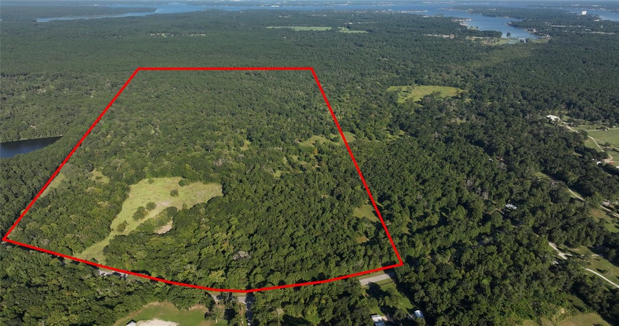 Property photo for 195 ac FM 149 Rd, Montgomery, TX