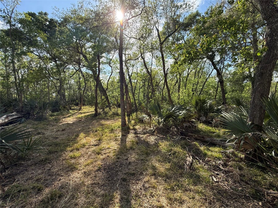 Property photo for Tract 1 County Road 332, Sweeny, TX