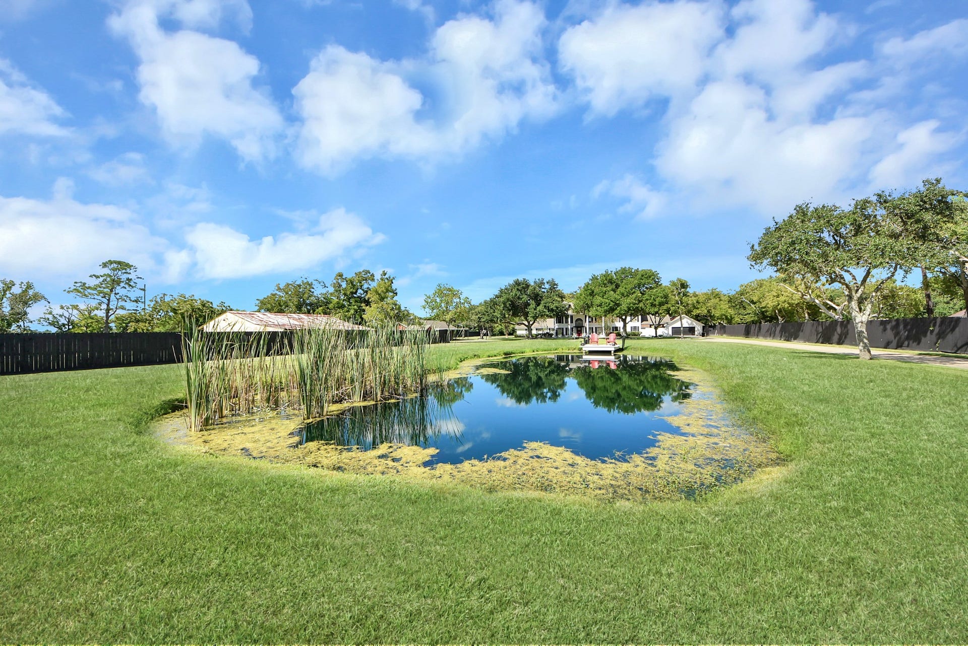 1910 Avenue L, Santa Fe, TX 77510 A beautiful view as you drive in the long drive way!