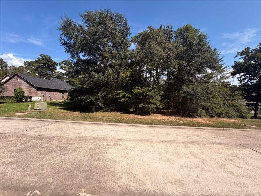 Property photo for 313 Pine Brook Drive, Montgomery, TX