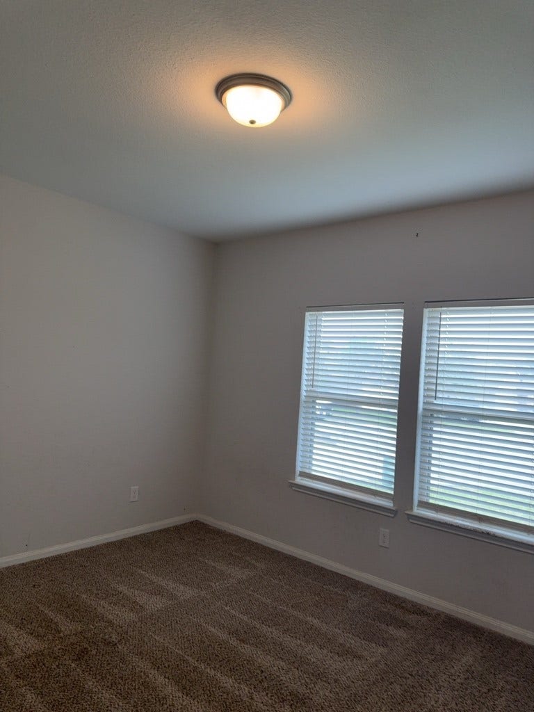 10905 S Lake Mist Lane, Willis, TX 77318