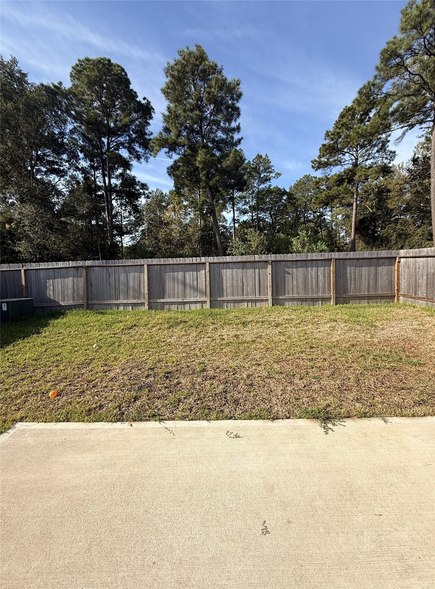 388 Cumberland Forest Drive, Magnolia, TX 77354 388 Cumberland Forest Drive, Magnolia, TX 77354
