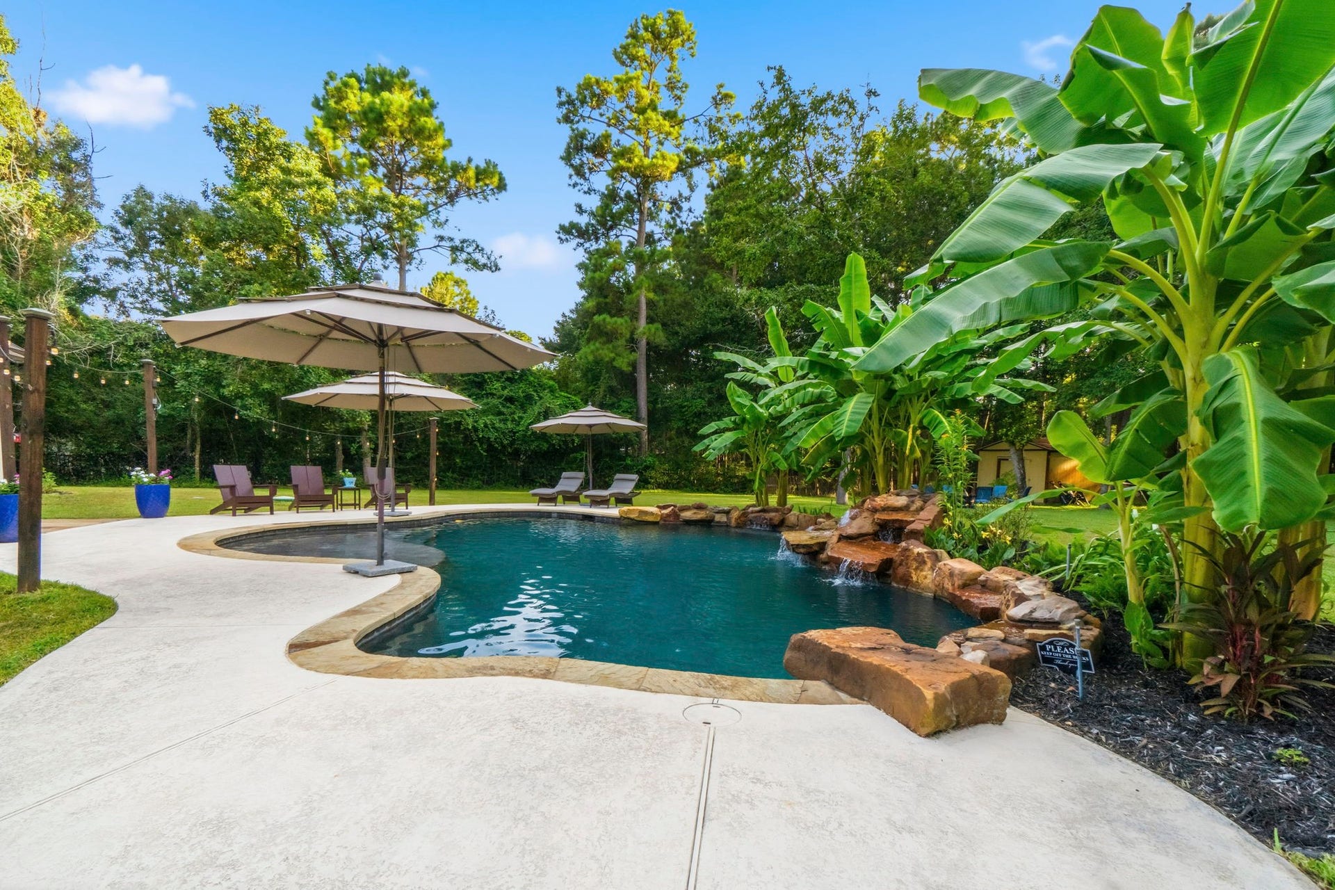11612 Princess Ann Court, Montgomery, TX 77316 This side of the pool is 10ft deep with a diving rock.