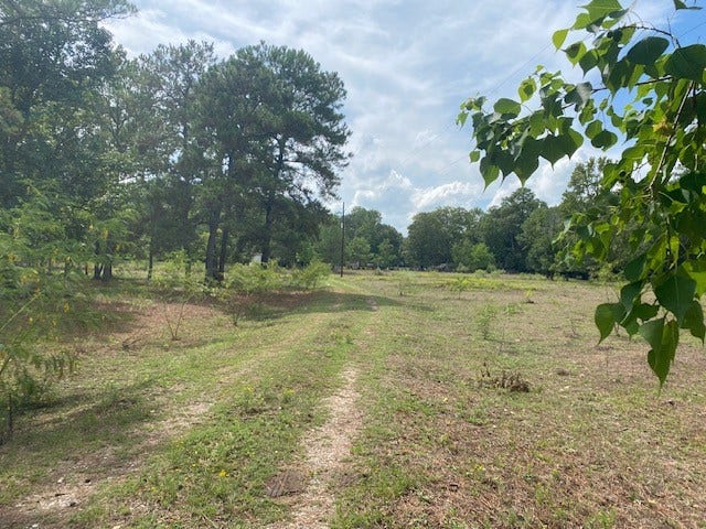 Property photo for 0 Firetower Road, Conroe, TX