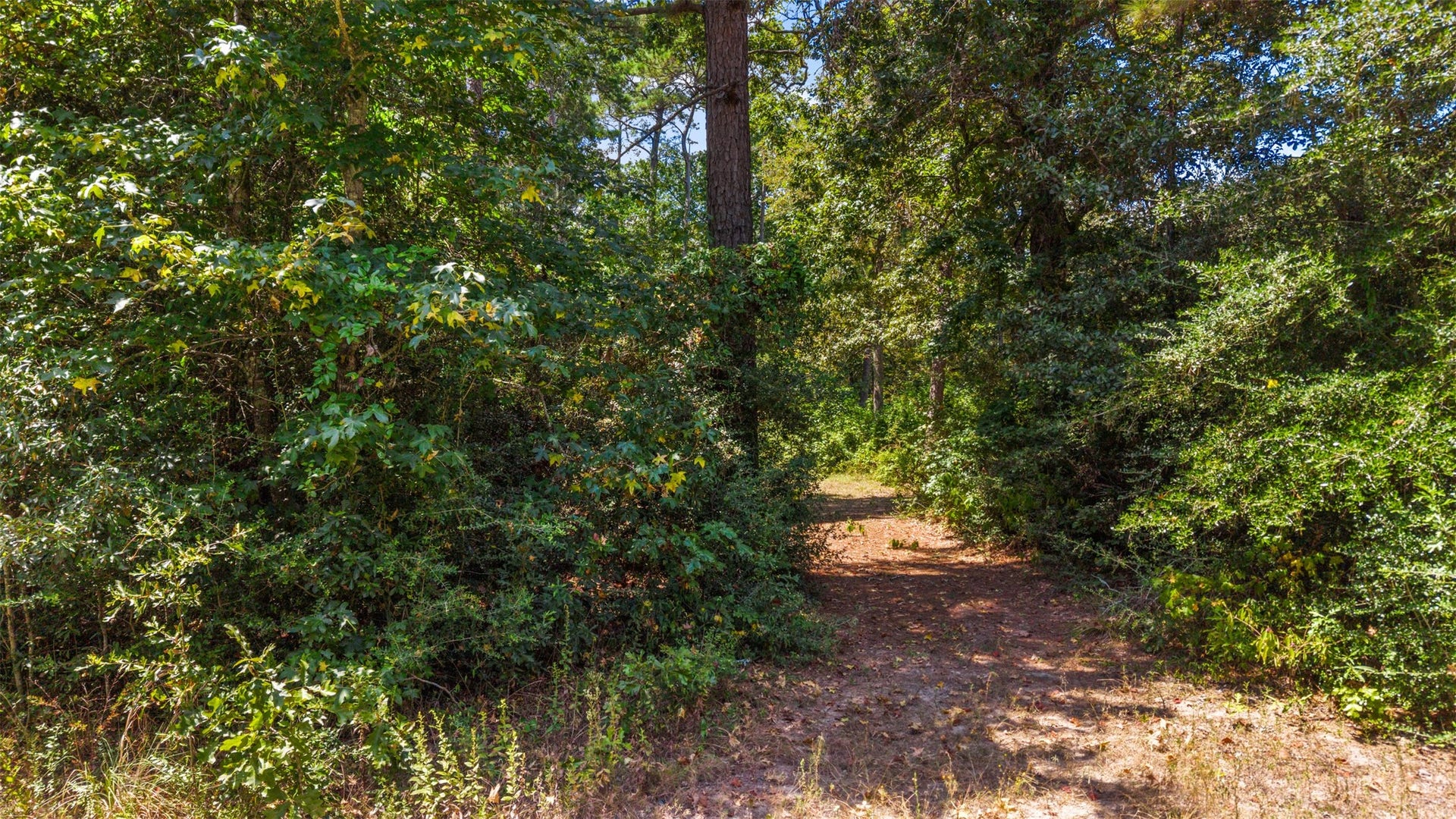 19296 Riverwalk Drive, Porter, TX 77365 19296 Riverwalk Drive, Porter, TX 77365