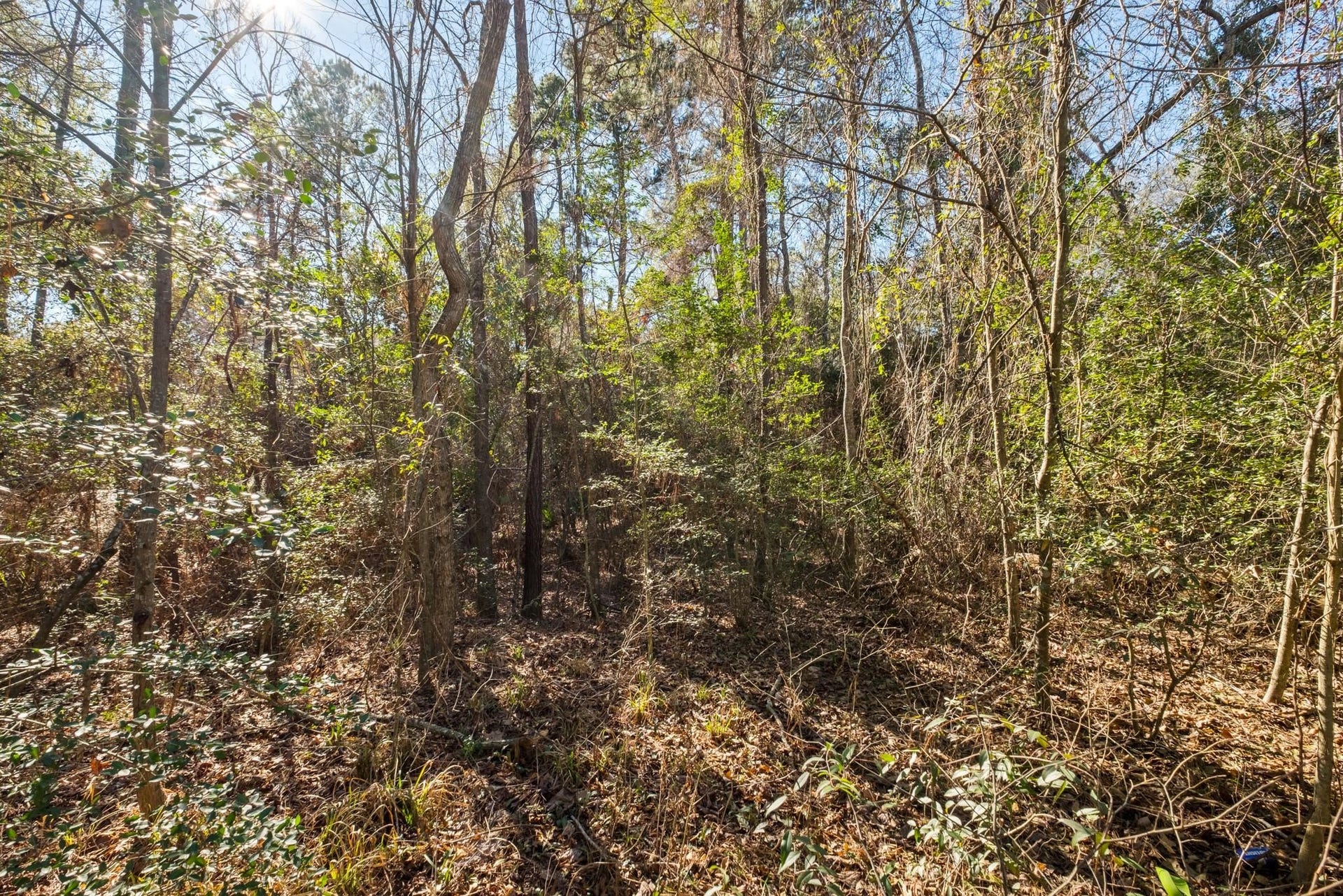 0 Paradise View Dr, Willis, TX 77318 0 Paradise View Dr, Willis, TX 77318
