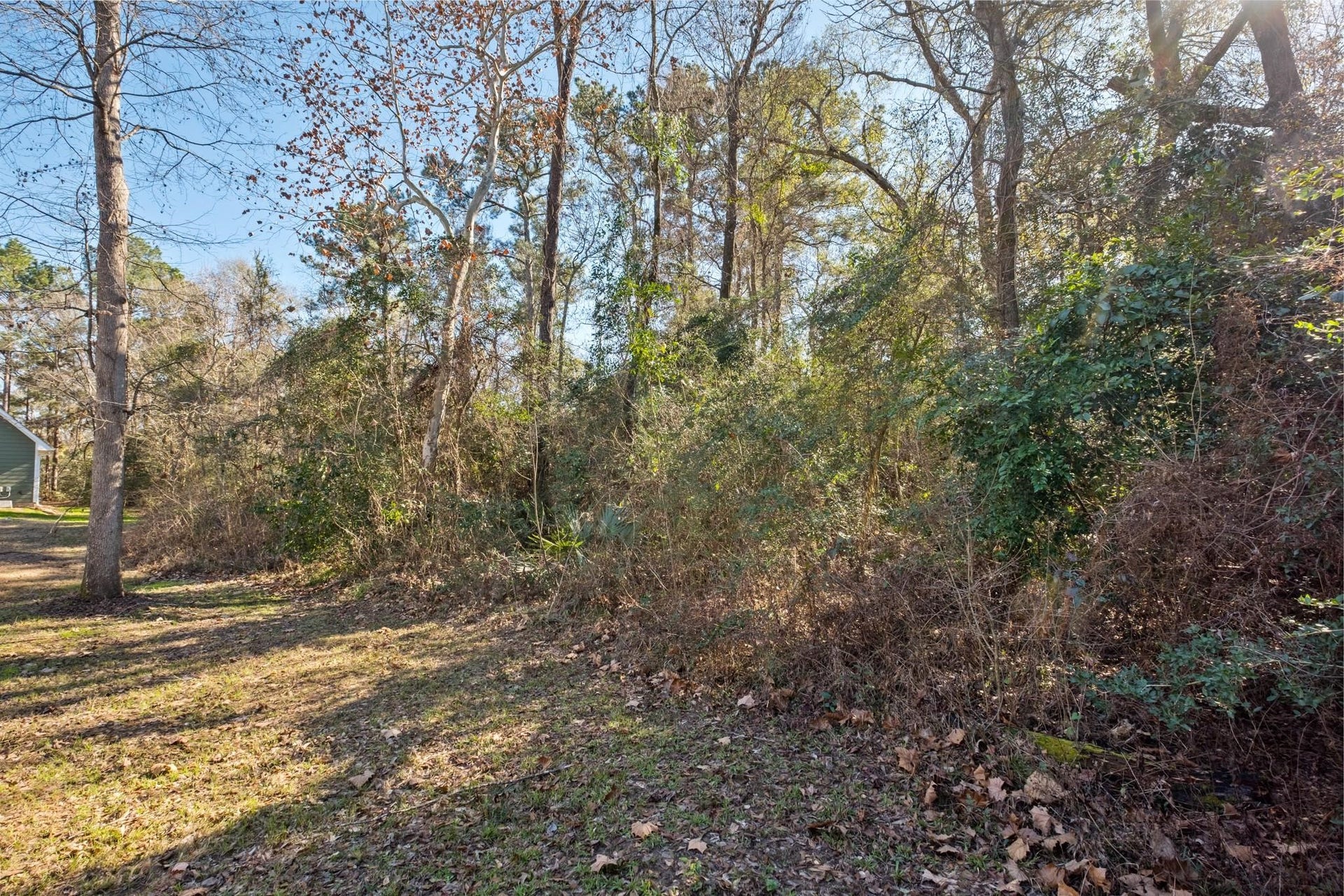 0 Paradise View Dr, Willis, TX 77318 0 Paradise View Dr, Willis, TX 77318