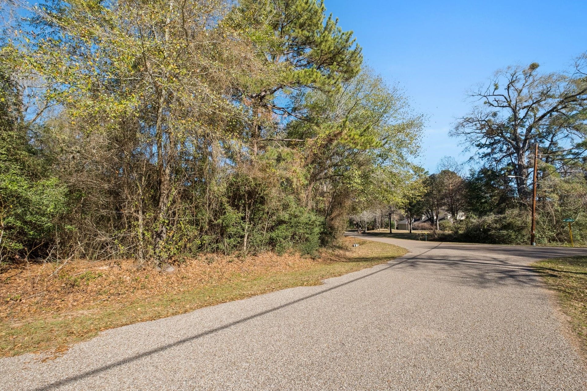 0 Paradise View Dr, Willis, TX 77318 0 Paradise View Dr, Willis, TX 77318