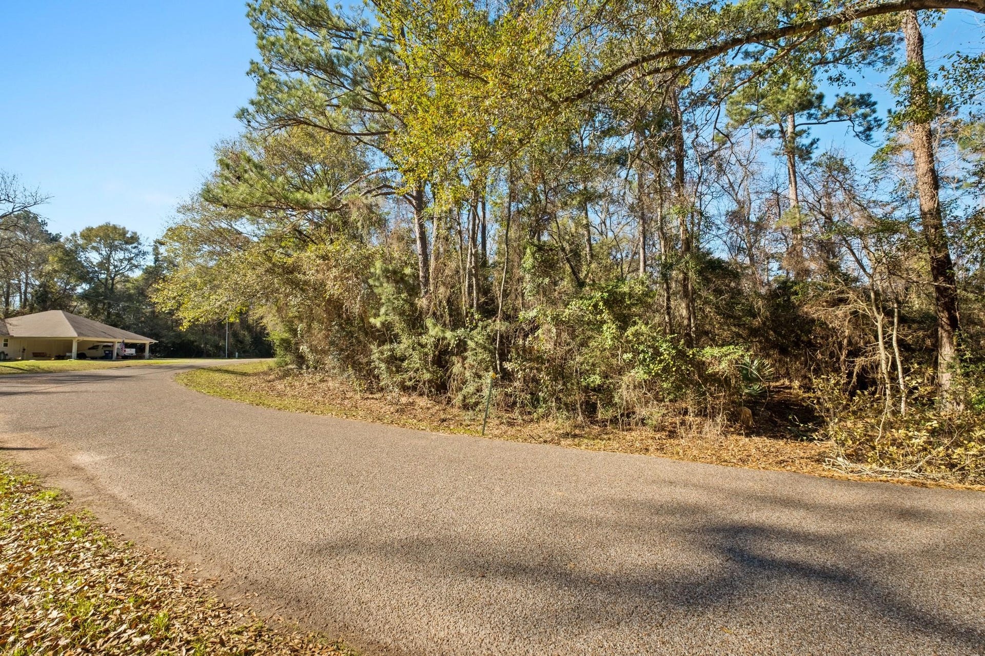 0 Paradise View Dr, Willis, TX 77318 0 Paradise View Dr, Willis, TX 77318