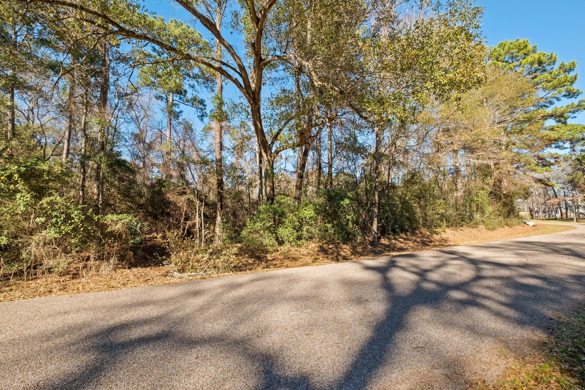0 Paradise View Dr, Willis, TX 77318 0 Paradise View Dr, Willis, TX 77318