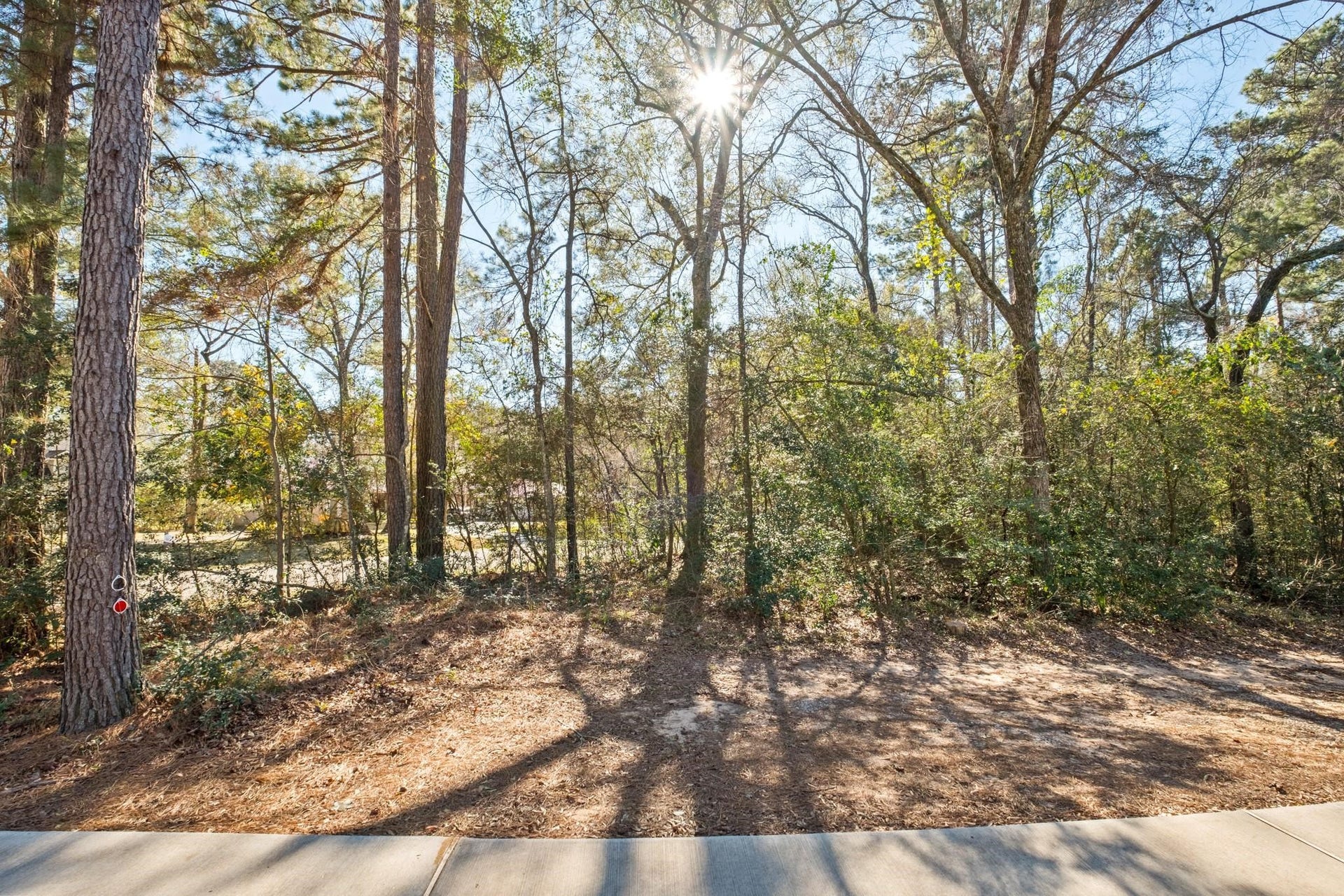0 Paradise View Dr, Willis, TX 77318 0 Paradise View Dr, Willis, TX 77318