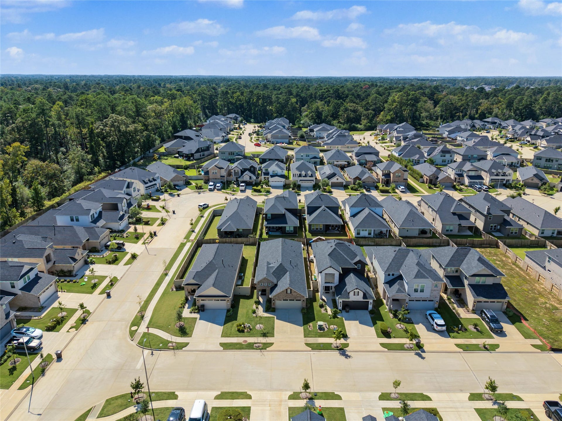 40526 Tyto Lane, Magnolia, TX 77354 40526 Tyto Lane, Magnolia, TX 77354