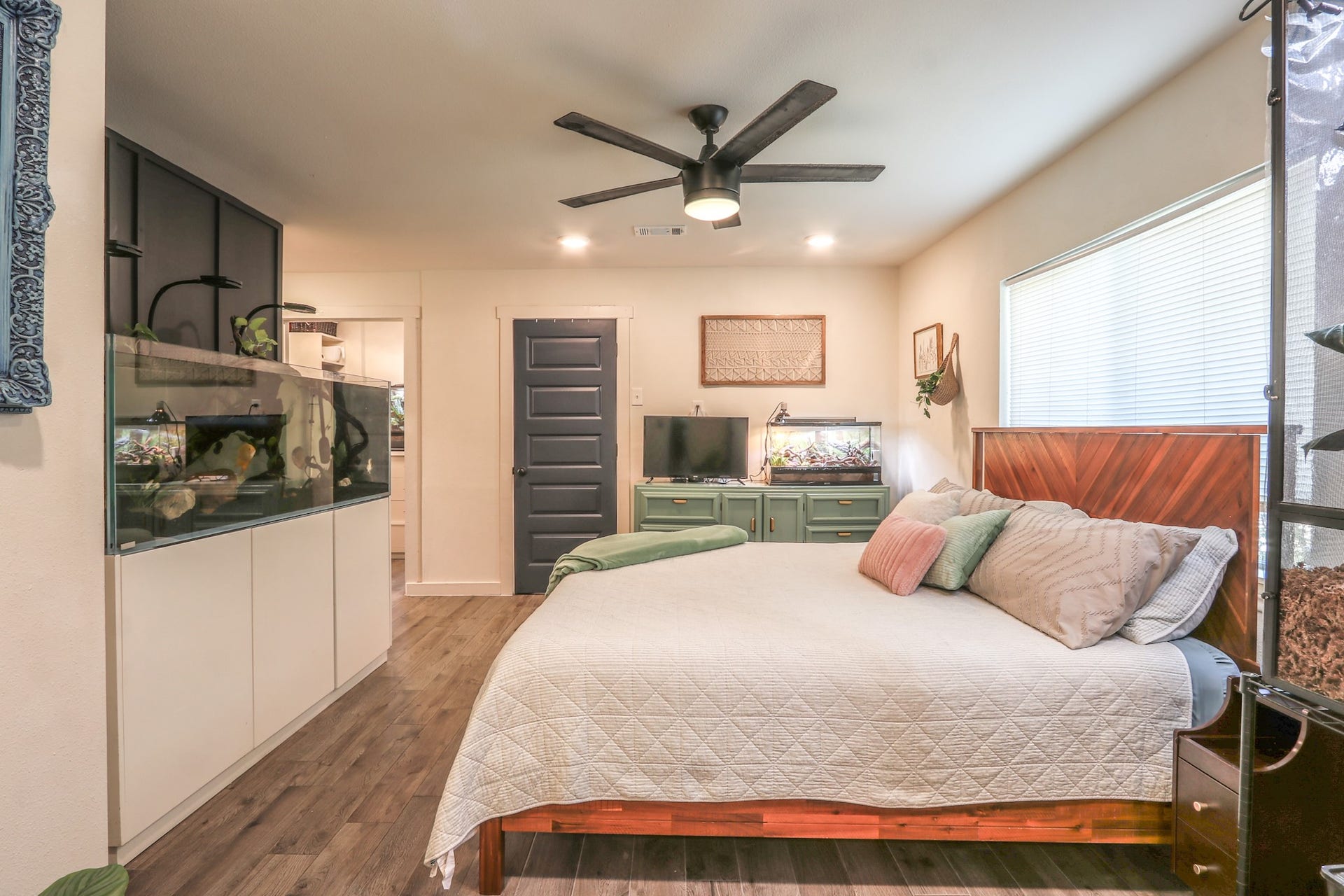 2575 Cliff Drive, Dickinson, TX 77539 This Primary bedroom is such a generous size with recessed lighting & a modern simple ceiling fan. The Navy 5-panel doors are throughout the home and add such a classic touch to each bedroom. The stylish navy accent wall behind the beautiful 167 gallon Waterbox rimless freshwater aquarium loaded with a variety of fish thriving. A set up of this quality & size is expensive and the current owners would like to gift it to new owners or it can be removed. It will lull you into a peaceful sleep every night!