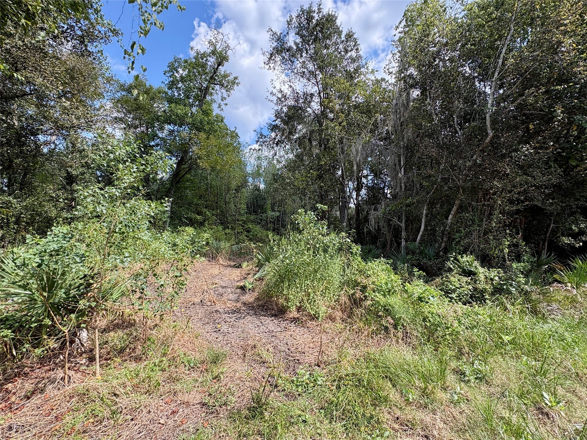 0 Cr-409, Sweeny, TX 77480 0 Cr-409, Sweeny, TX 77480