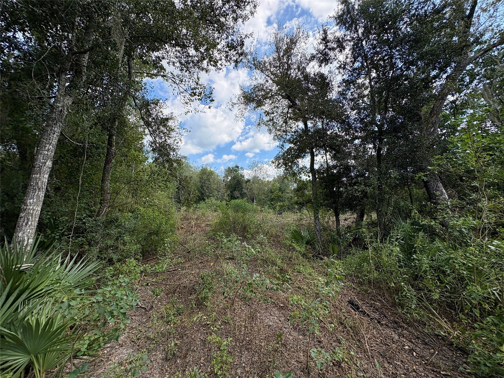 0 Cr-409, Sweeny, TX 77480 0 Cr-409, Sweeny, TX 77480