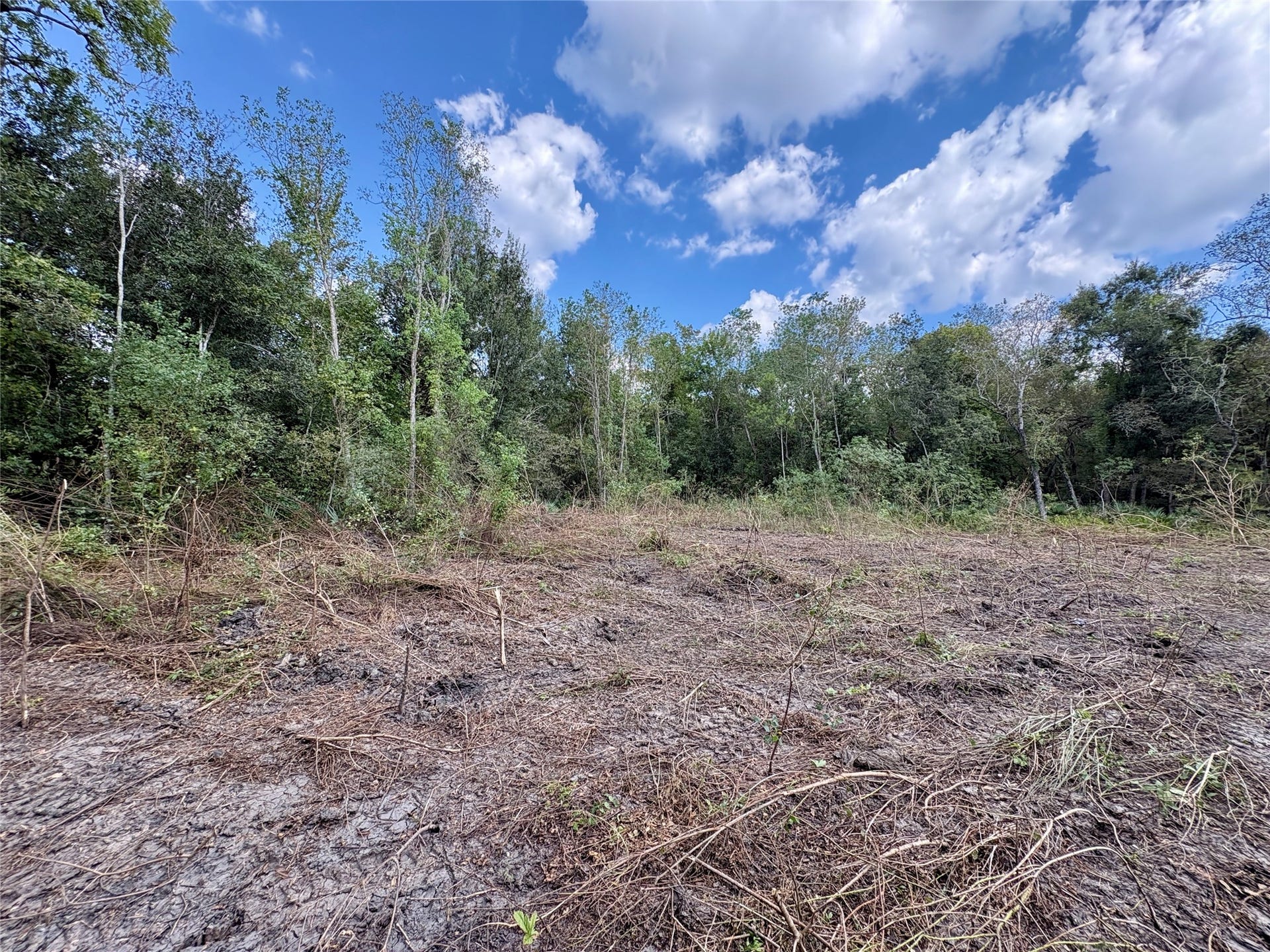 0 Cr-409, Sweeny, TX 77480 0 Cr-409, Sweeny, TX 77480