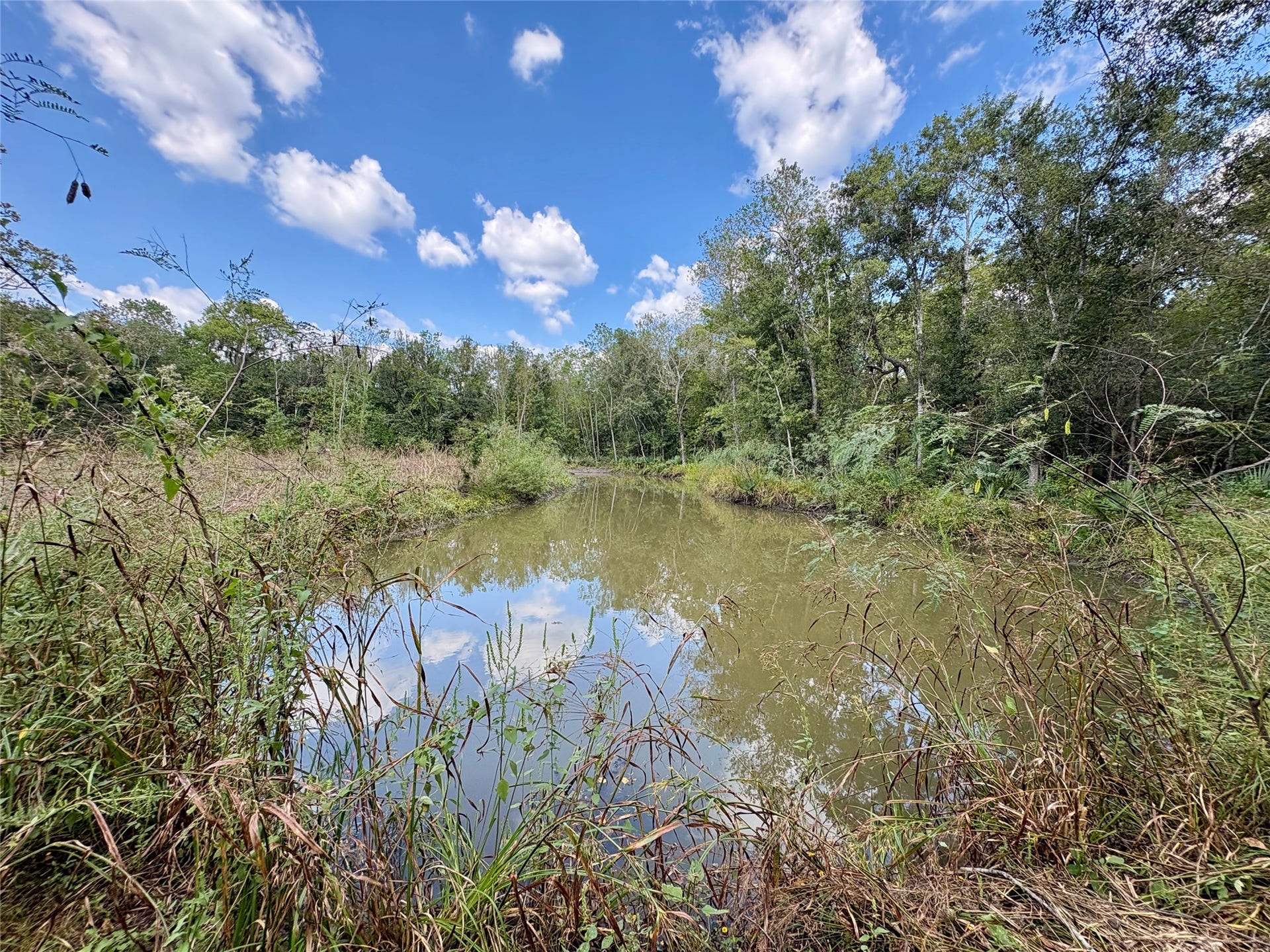 0 Cr-409, Sweeny, TX 77480 0 Cr-409, Sweeny, TX 77480