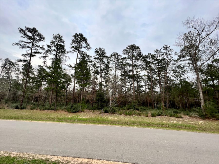 Property photo for TBD7 Lily Bean, Montgomery, TX