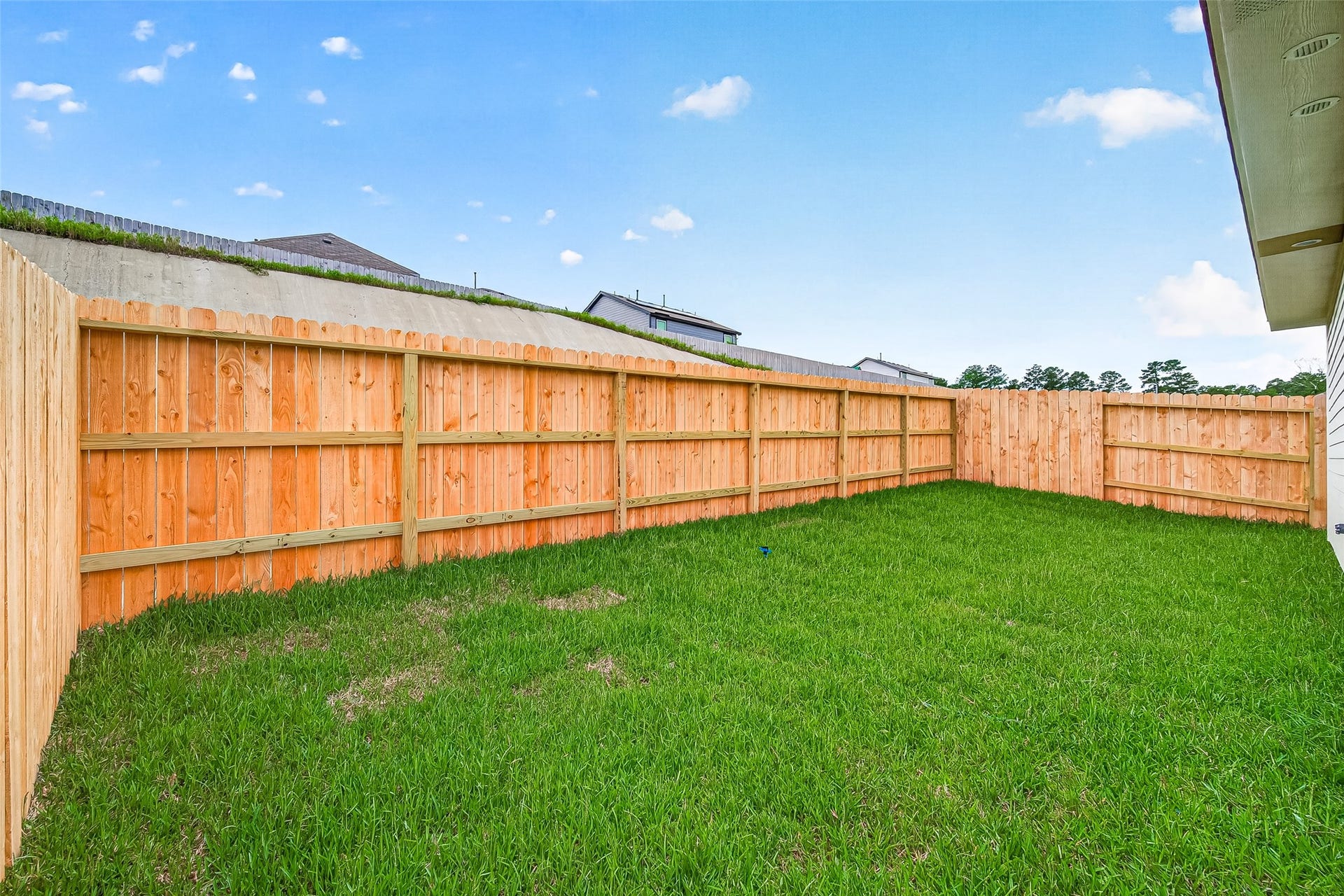 12955 Daniel Springs Lane, Magnolia, TX 77354 12955 Daniel Springs Lane, Magnolia, TX 77354