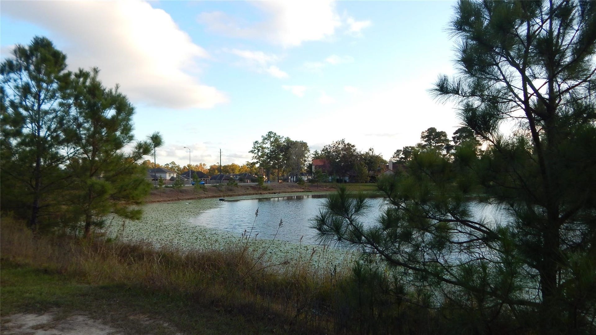 Serene lakeside view surrounded by lush trees, offering a peaceful and natural backdrop for your future home.